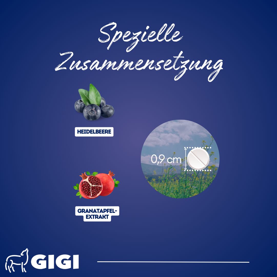 Blaubeeren, Granatapfel und Tablette mit 0,9 cm Durchmesser. Text: Spezielle Zusammensetzung.