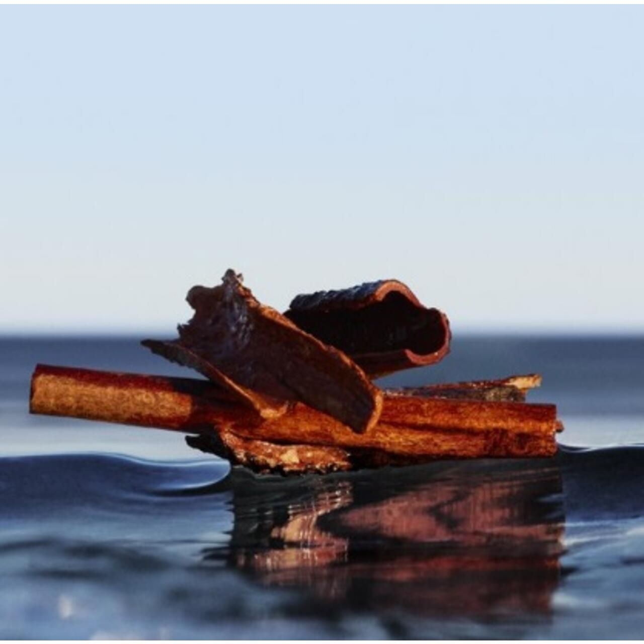 Zimtrindenstücke auf Wasser. Braune Stücke mit rauer Oberfläche. Reflexionen im Wasser.