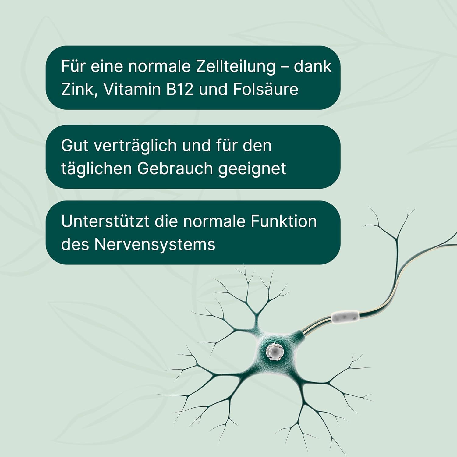 Grafik mit Text: Für normale Zellteilung. Gut verträglich. Unterstützt Nervensystem. Abbildung eines Neurons.