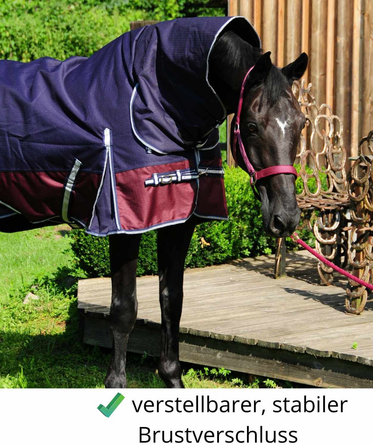Pferdedecke, dunkelblau mit bordeauxfarbenem Saum. Auf einem Pferd. Text: verstellbarer, stabiler Brustverschluss.