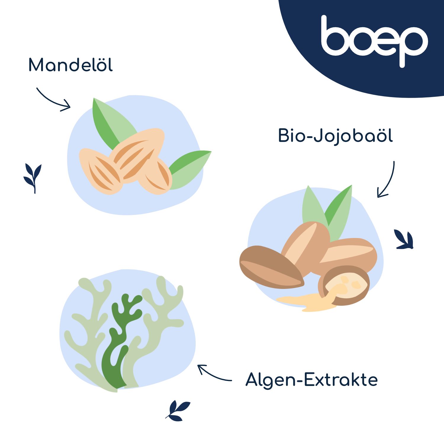 Illustrationen von Mandeln, Bio-Jojobabohnen und Algenextrakten.