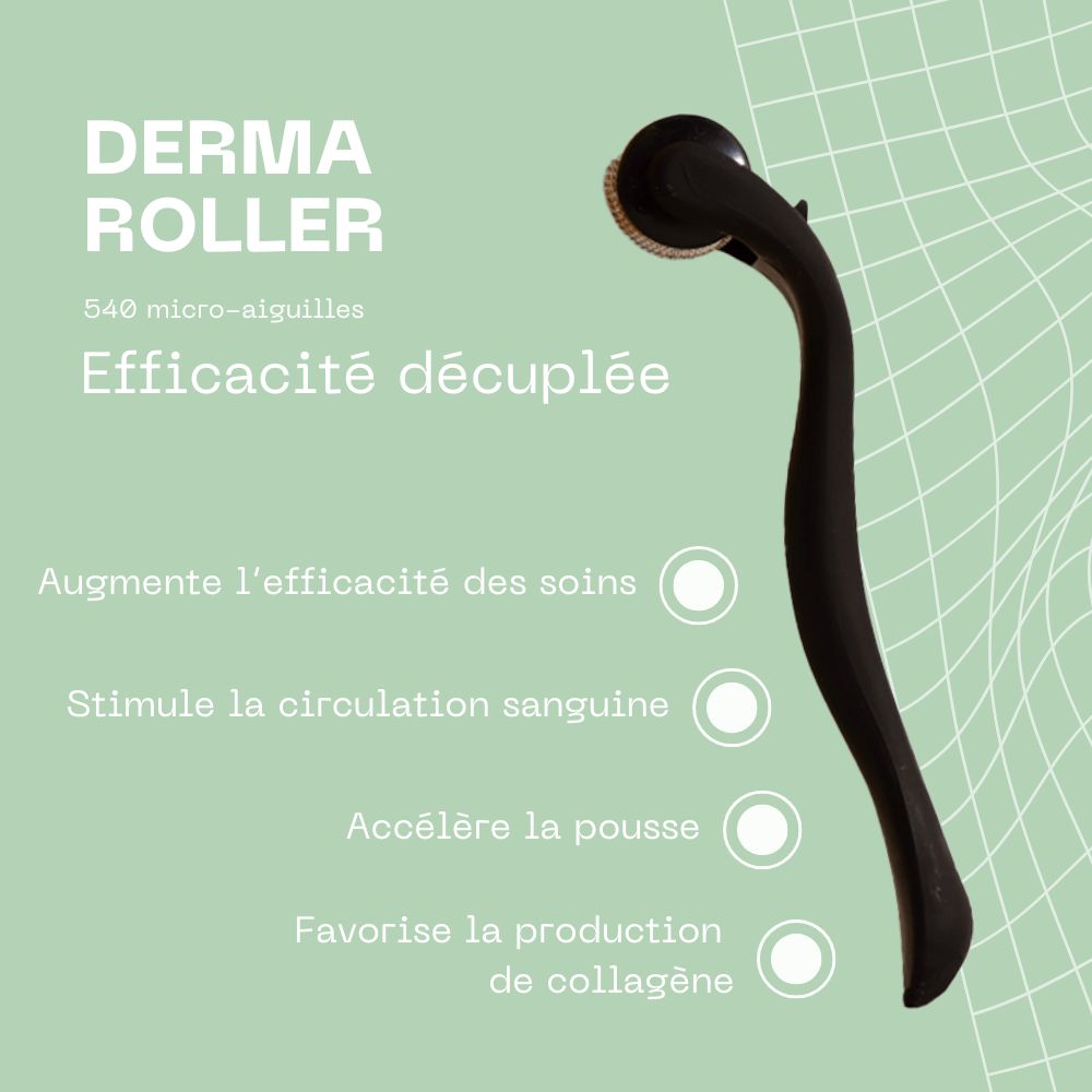 Schwarzer Derma Roller mit Griff. Text: Derma Roller, 540 micro-aiguilles, Efficacité décuplée.