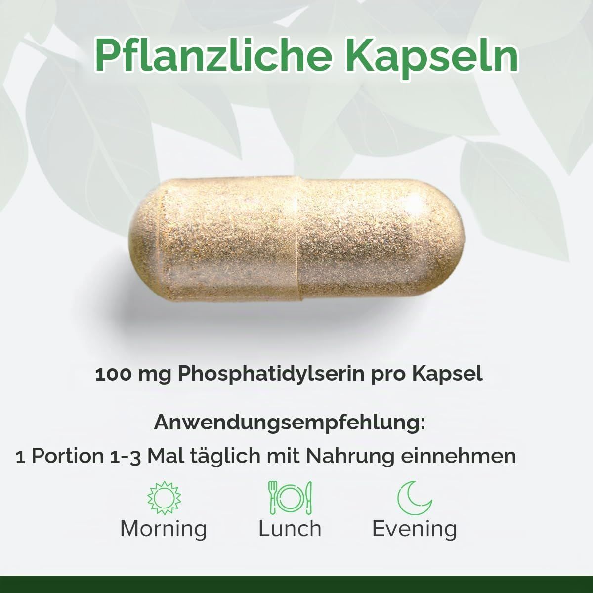 Einzelne pflanzliche Kapsel mit 100 mg Phosphatidylserin.