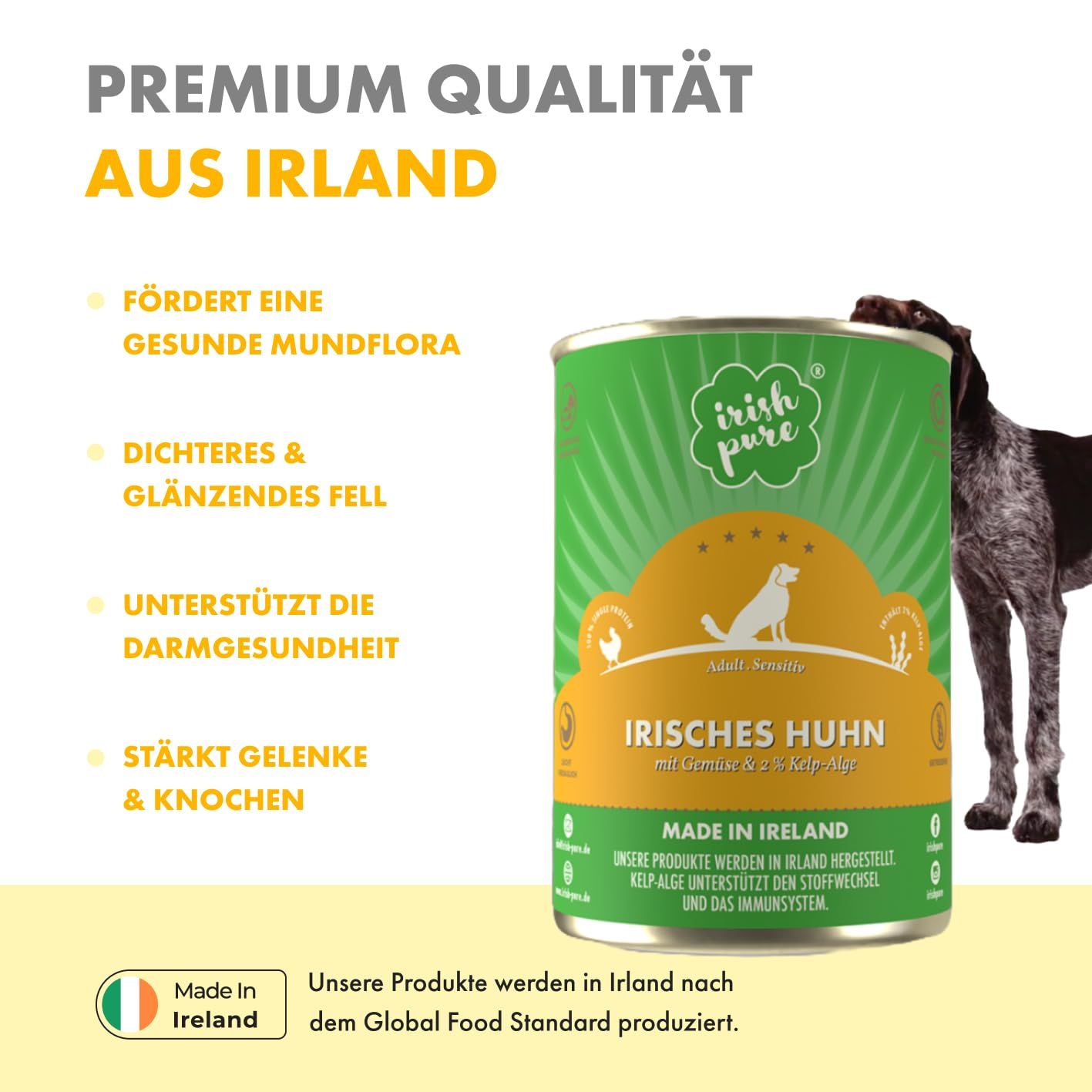 Hundefutter-Dose 'Irisches Huhn' mit Hund und Produktvorteilen.