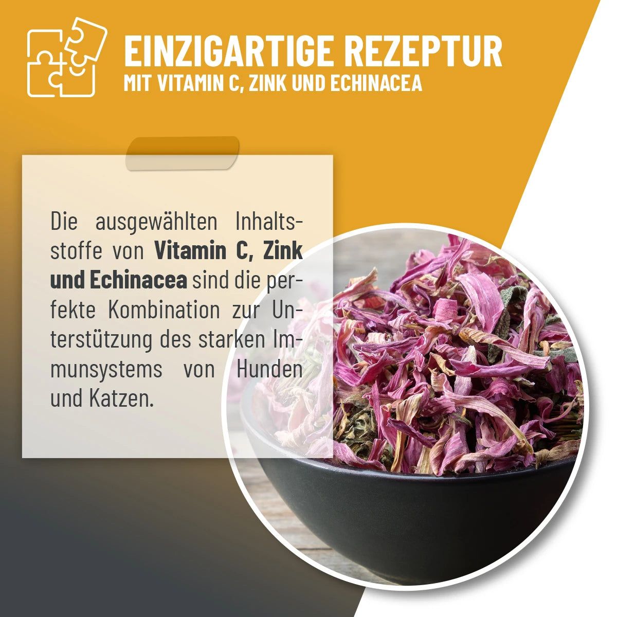 Immun Aufbau Tropfen - ReaVET