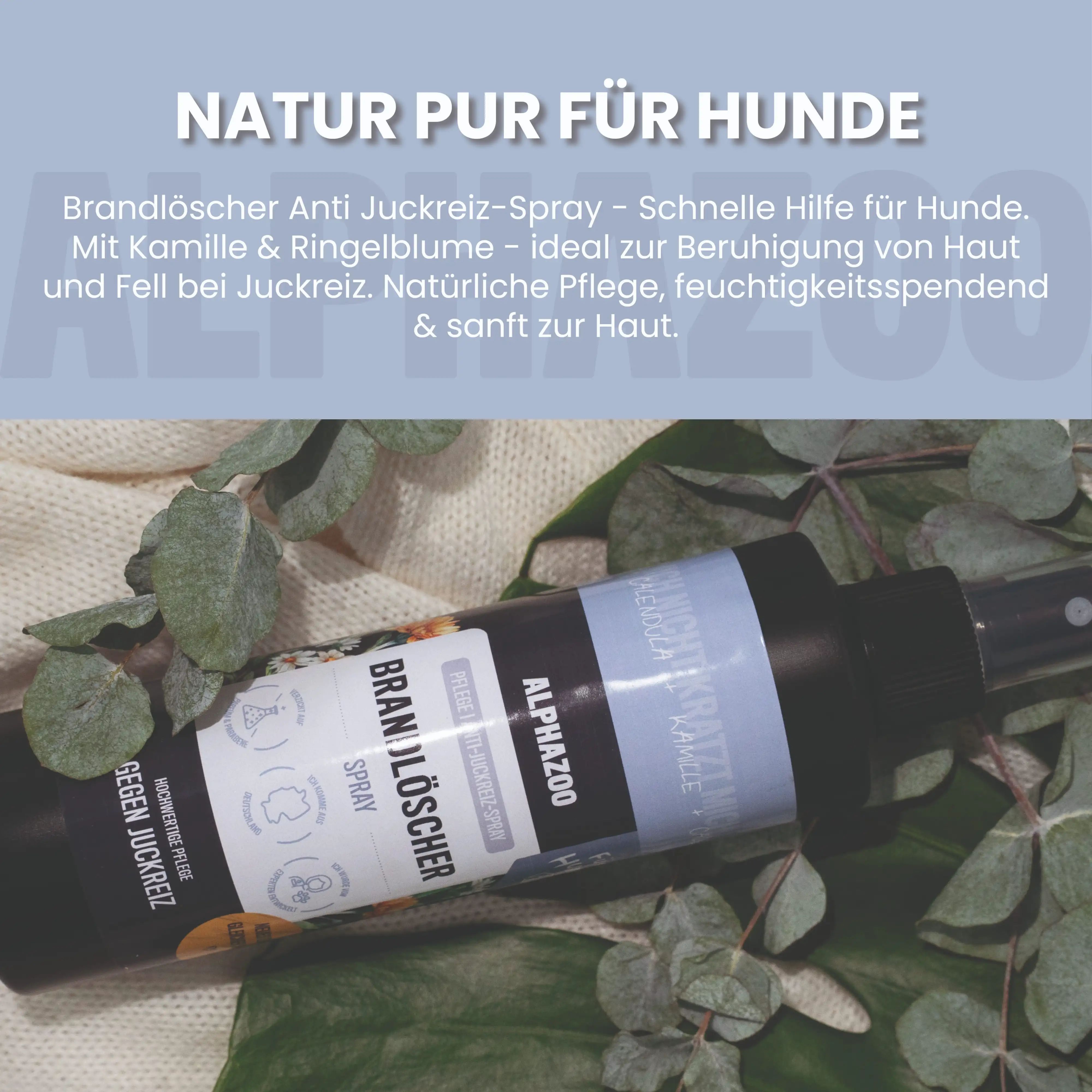 Schwarze Sprühflasche mit Text: ALPHAZOO, Brandlöscher, Anti Juckreiz Spray. Liegt auf Blättern. Text: Natur pur für Hunde.