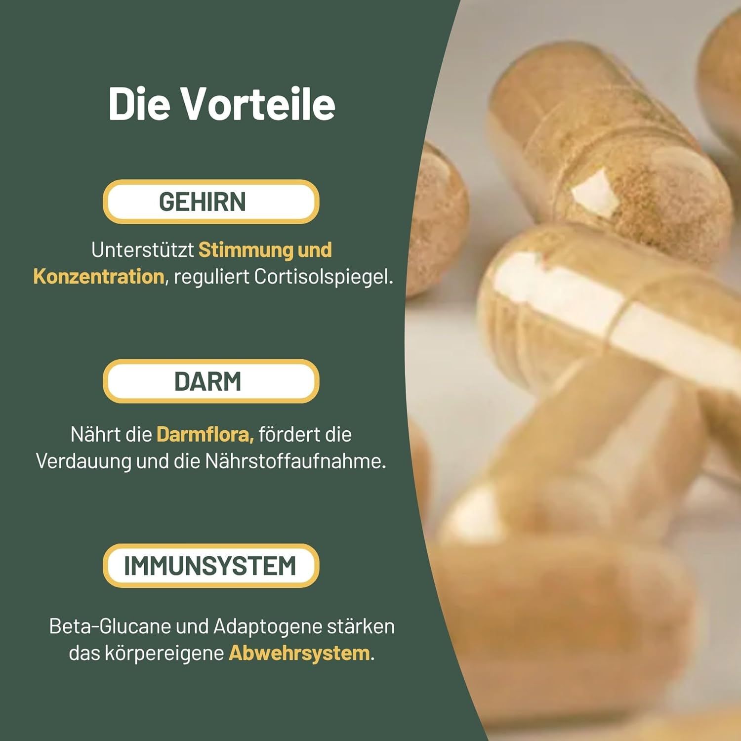 Vegan Vitality 6 Super Pilz Complex Kapseln