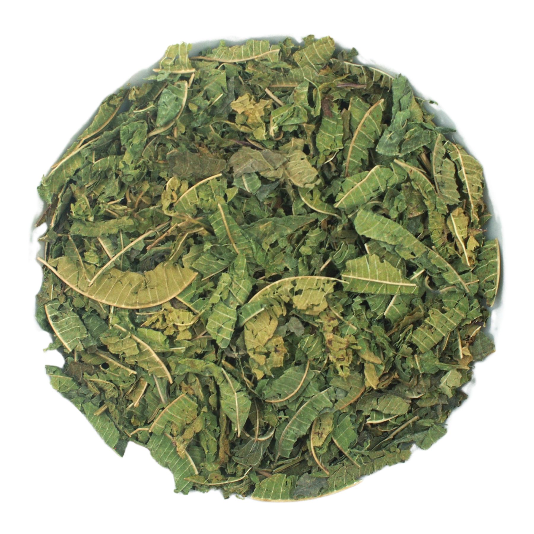 Draufsicht auf getrocknete, grüne Zitronenverbene-Blätter. Blätter in verschiedenen Formen und Größen, auf weißem Hintergrund.