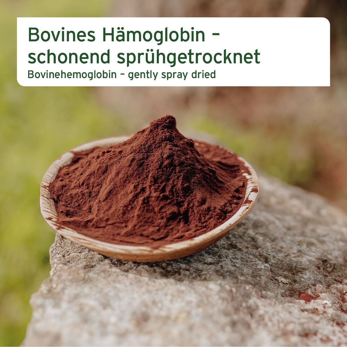 Braunes Pulver in einer kleinen Schale. Text: Bovines Hämoglobin - schonend sprühgetrocknet. Bovinehemoglobin - gently spray dried.