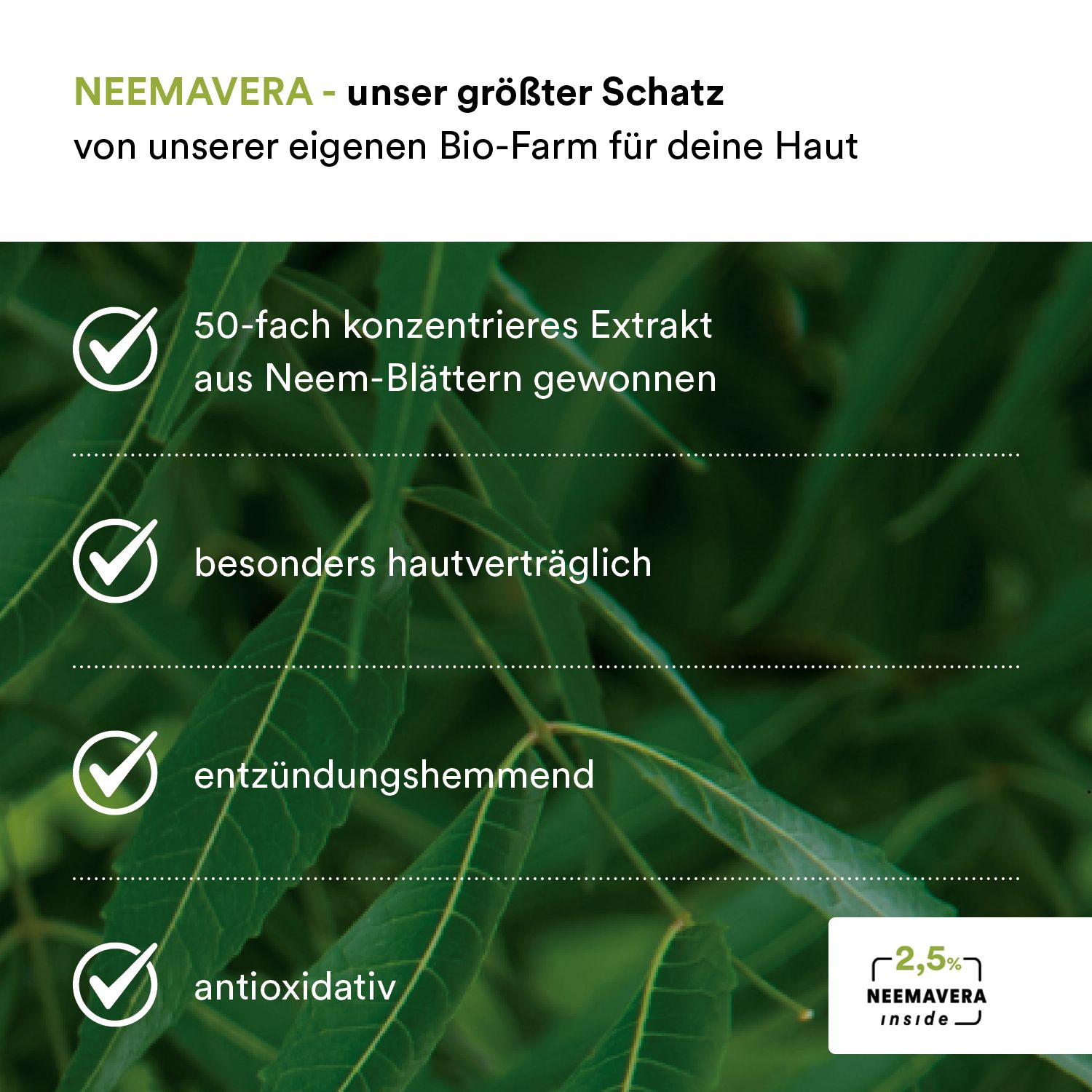 Text: Neem-Extrakt aus eigener Bio-Farm. Text: 50-fach konzentriert, hautverträglich, entzündungshemmend, antioxidativ.