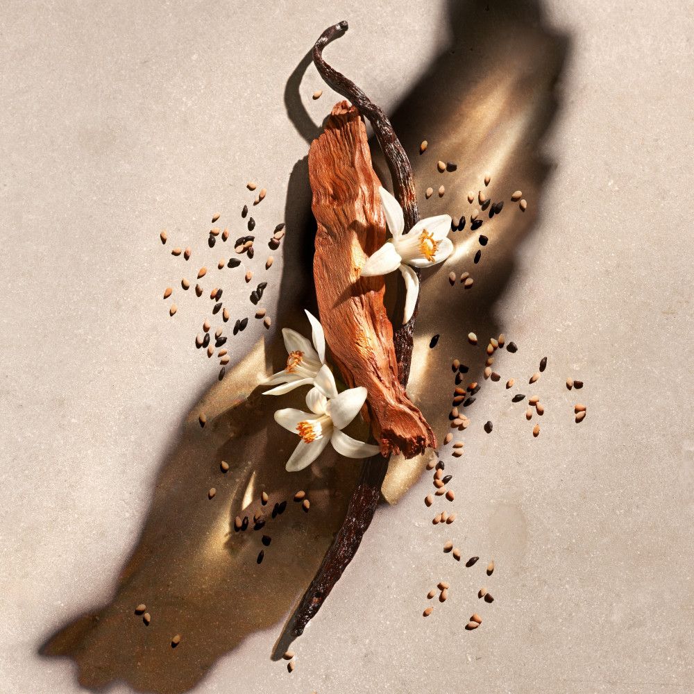 Vanilleschote, Blüten und Samen auf strukturiertem Hintergrund. Natürliche Elemente, Nahaufnahme.