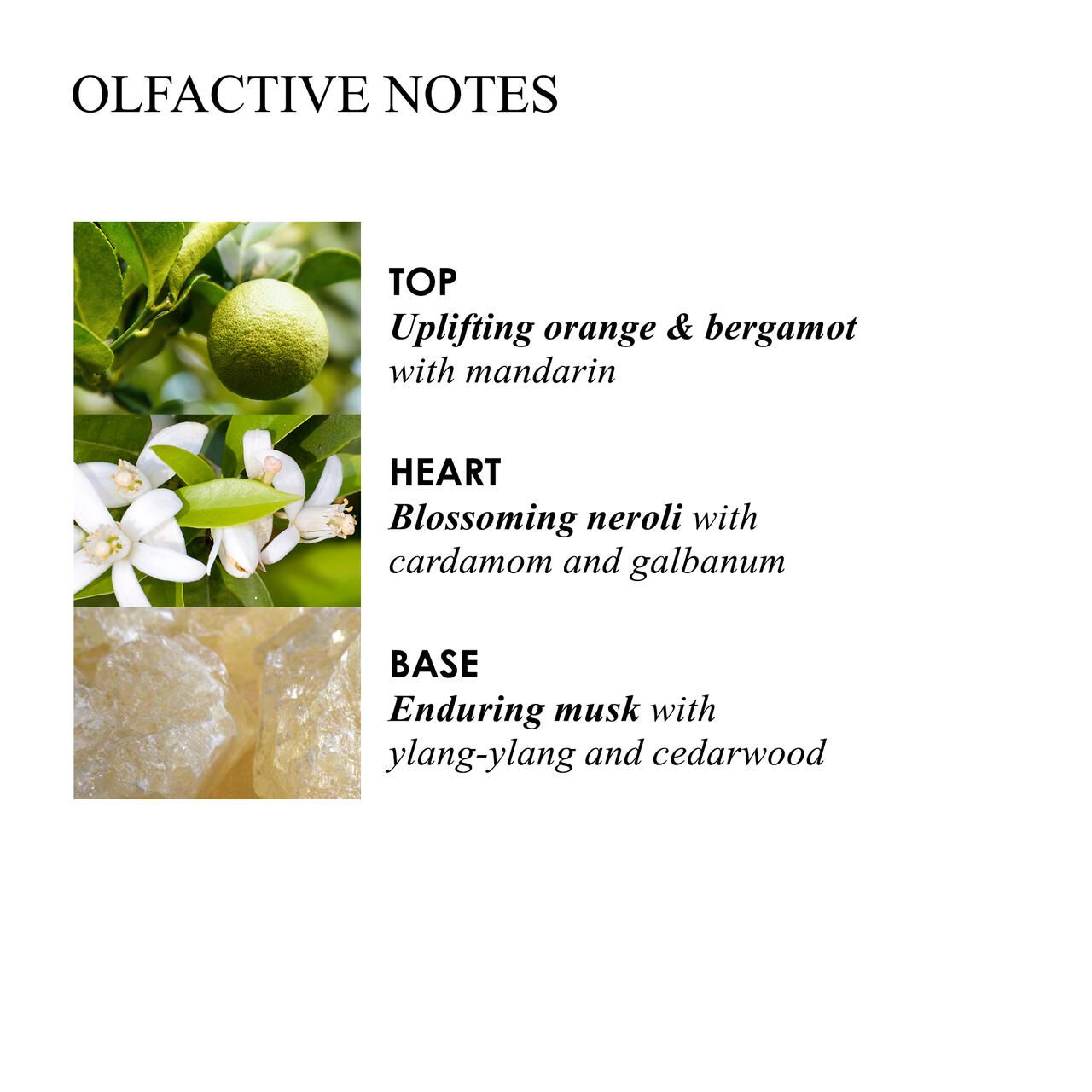 Text mit Duftnoten: Orange & Bergamotte, Neroli, Moschus. Bilder von Zutaten: Orange, Blüten, Kristalle.