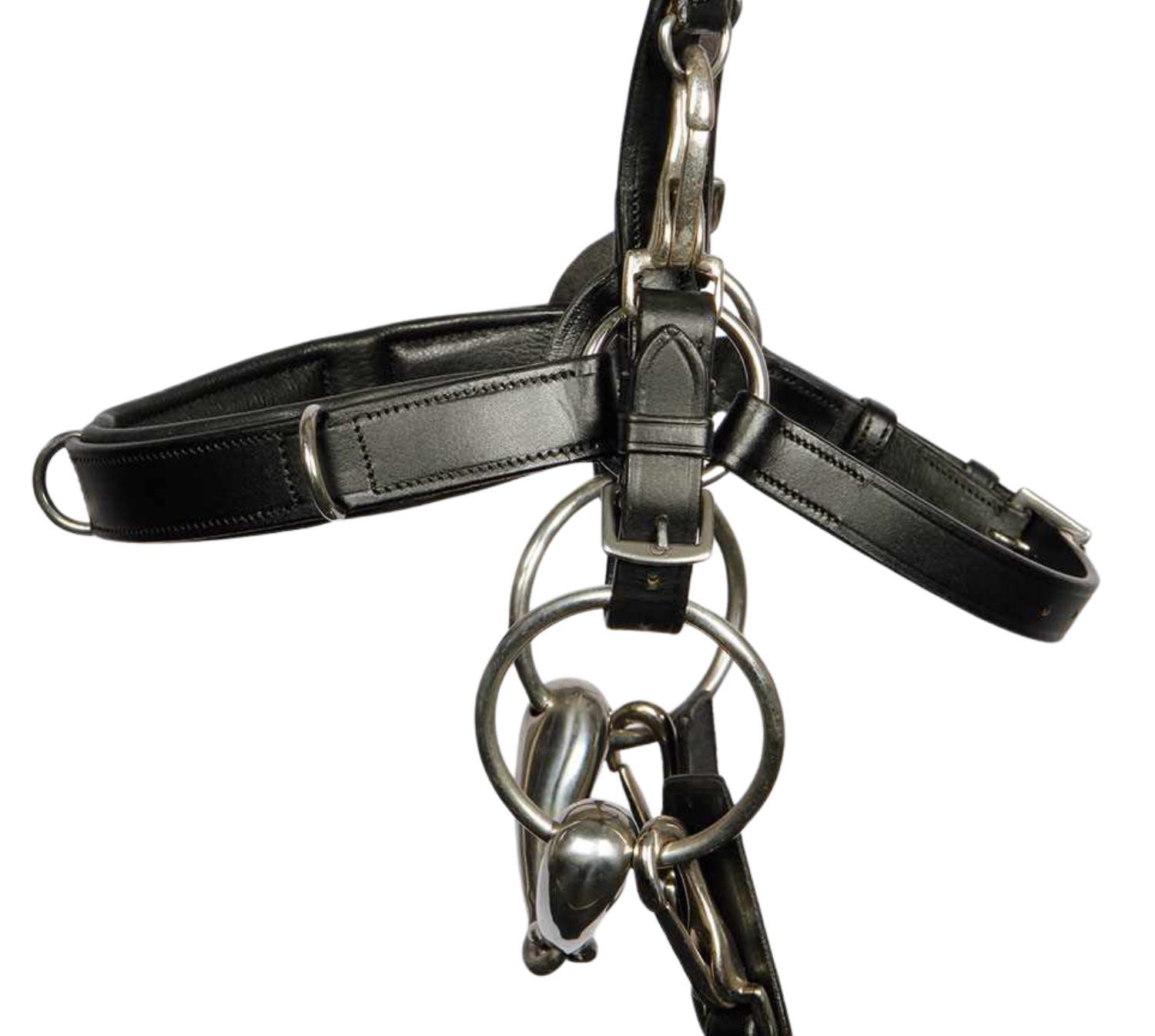 Schwarzer Kappzaum mit Metallbeschlägen. Lederriemen, gepolstert. Ringe und Gebiss. Detailaufnahme.