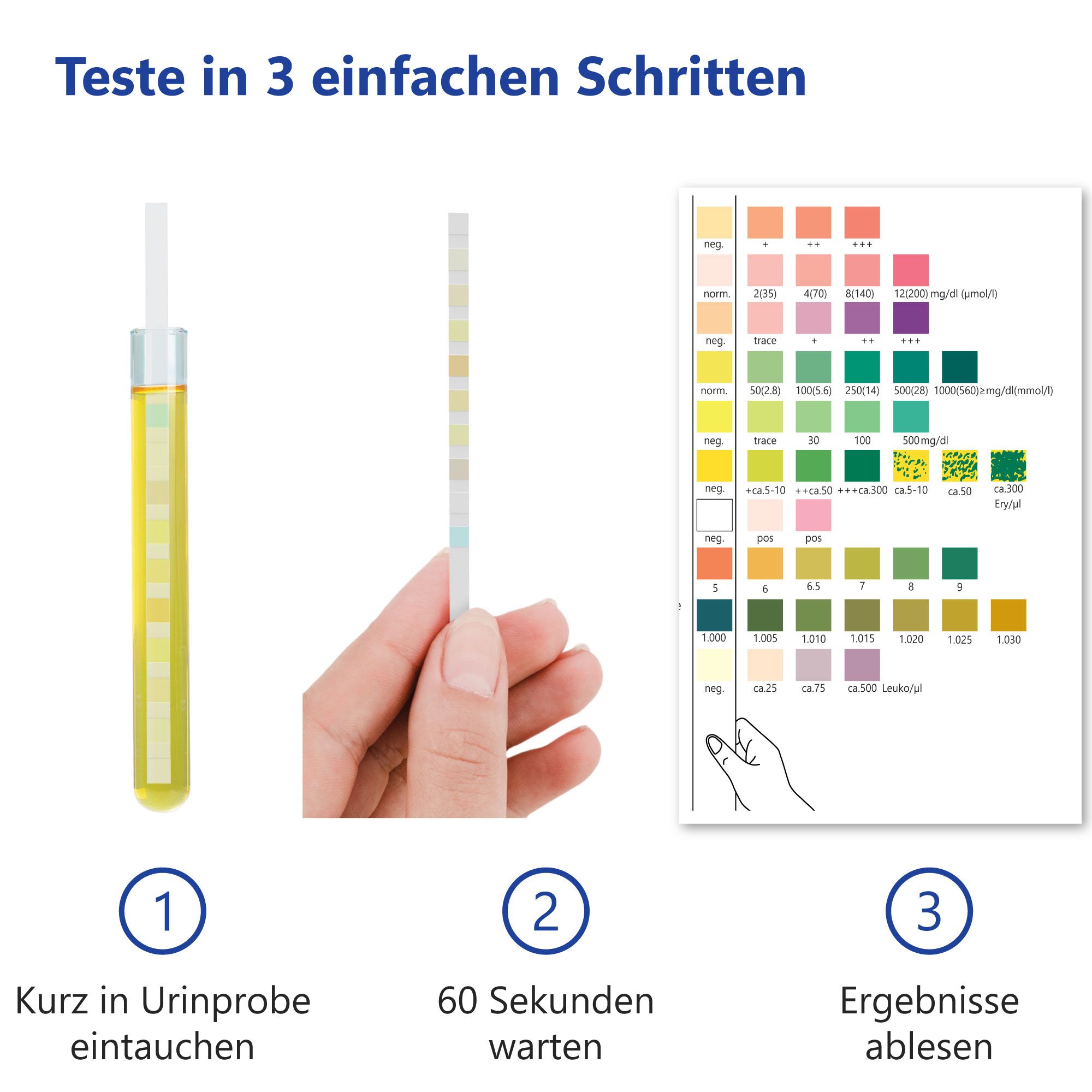 Drei Schritte: Eintauchen, 60 Sekunden warten, Ergebnisse ablesen. Teststreifen, Urinprobe, Farbskala. Text: Testen in 3 einfachen Schritten.