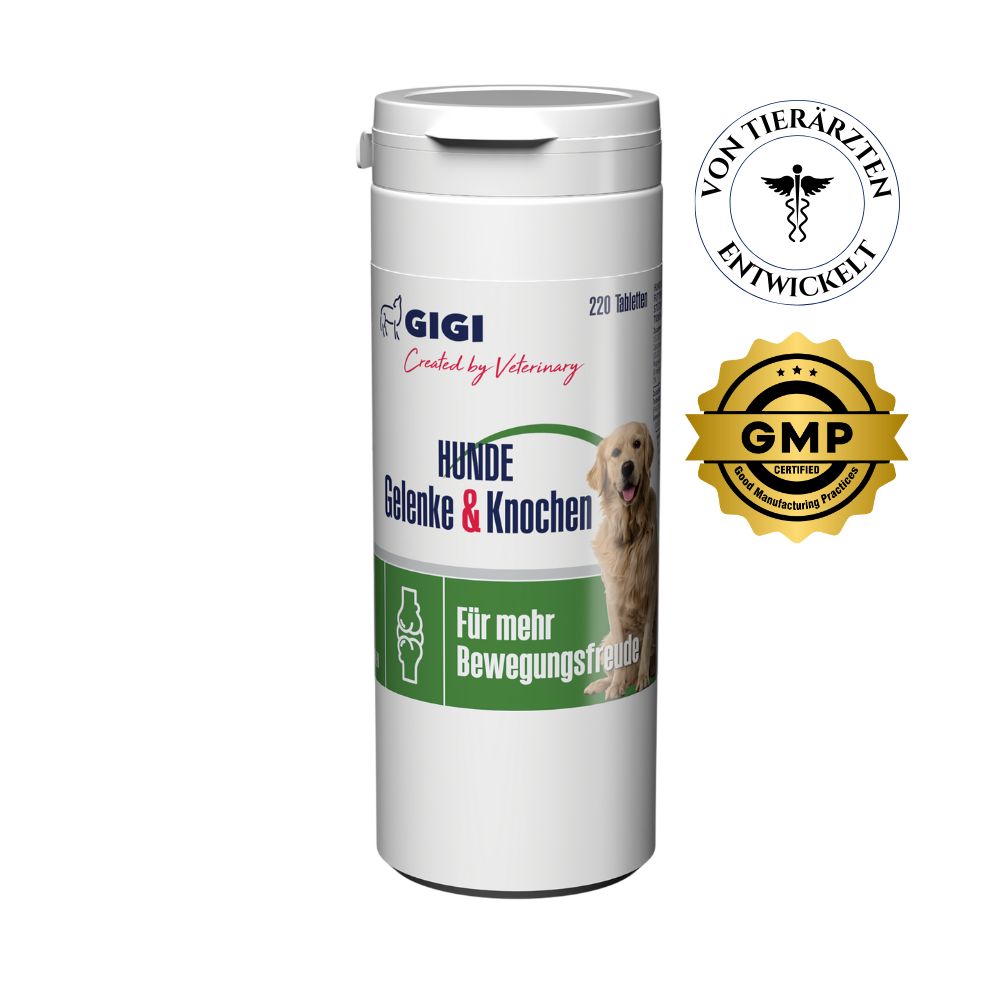 Weiße Flasche mit GIGI VET Hunde Gelenke & Knochen. Aufschrift: Für mehr Bewegungsfreude. Siegel: Von Tierärzten entwickelt, GMP.