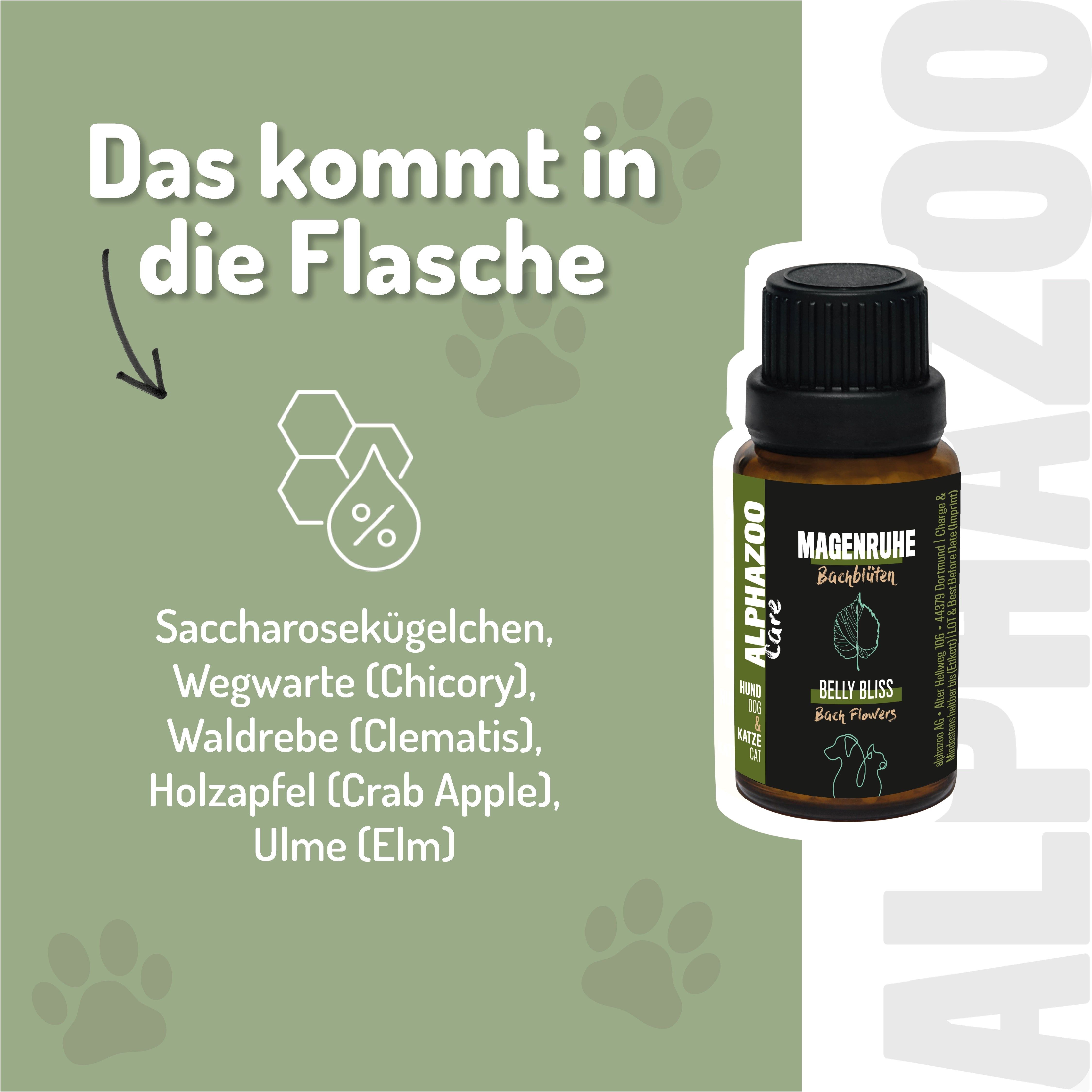 Braune Glasflasche mit schwarzem Deckel. Text: Magenruhe Bachblüten. Inhaltsstoffe: Saccharosekügelchen, Wegwarte, Waldrebe, Holzapfel, Ulme.