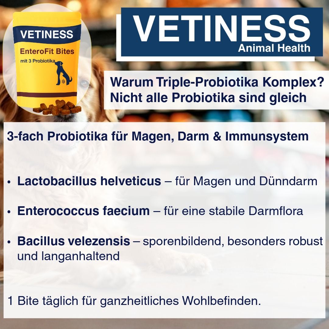 Gelbe Verpackung mit Vetiness EnteroFit Bites. Text: 3-fach Probiotika für Magen, Darm & Immunsystem. Enthält Lactobacillus helveticus, Enterococcus faecium, Bacillus velezensis.