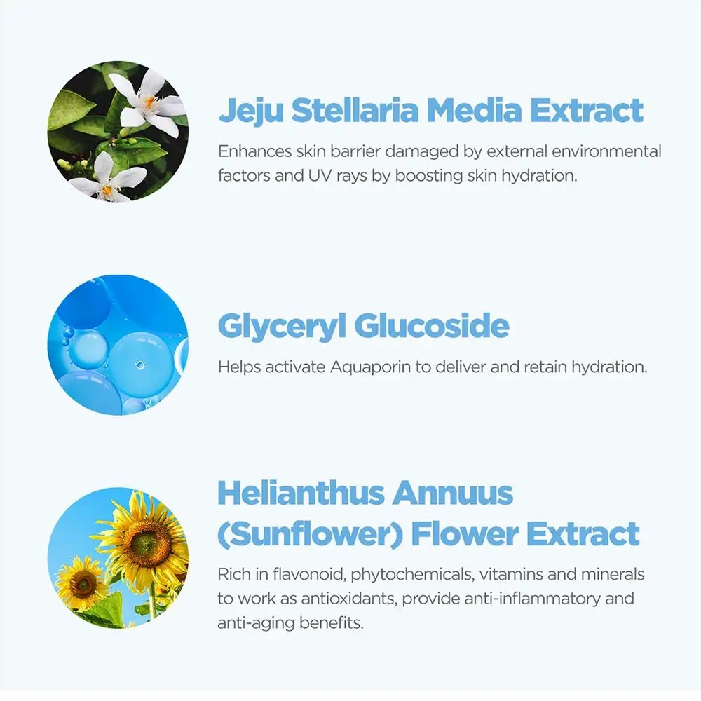 Drei Kreise mit Text und Bildern: Jeju Stellaria Media Extrakt, Glyceryl Glucoside, Helianthus Annuus (Sunflower) Flower Extrakt. Informationen.
