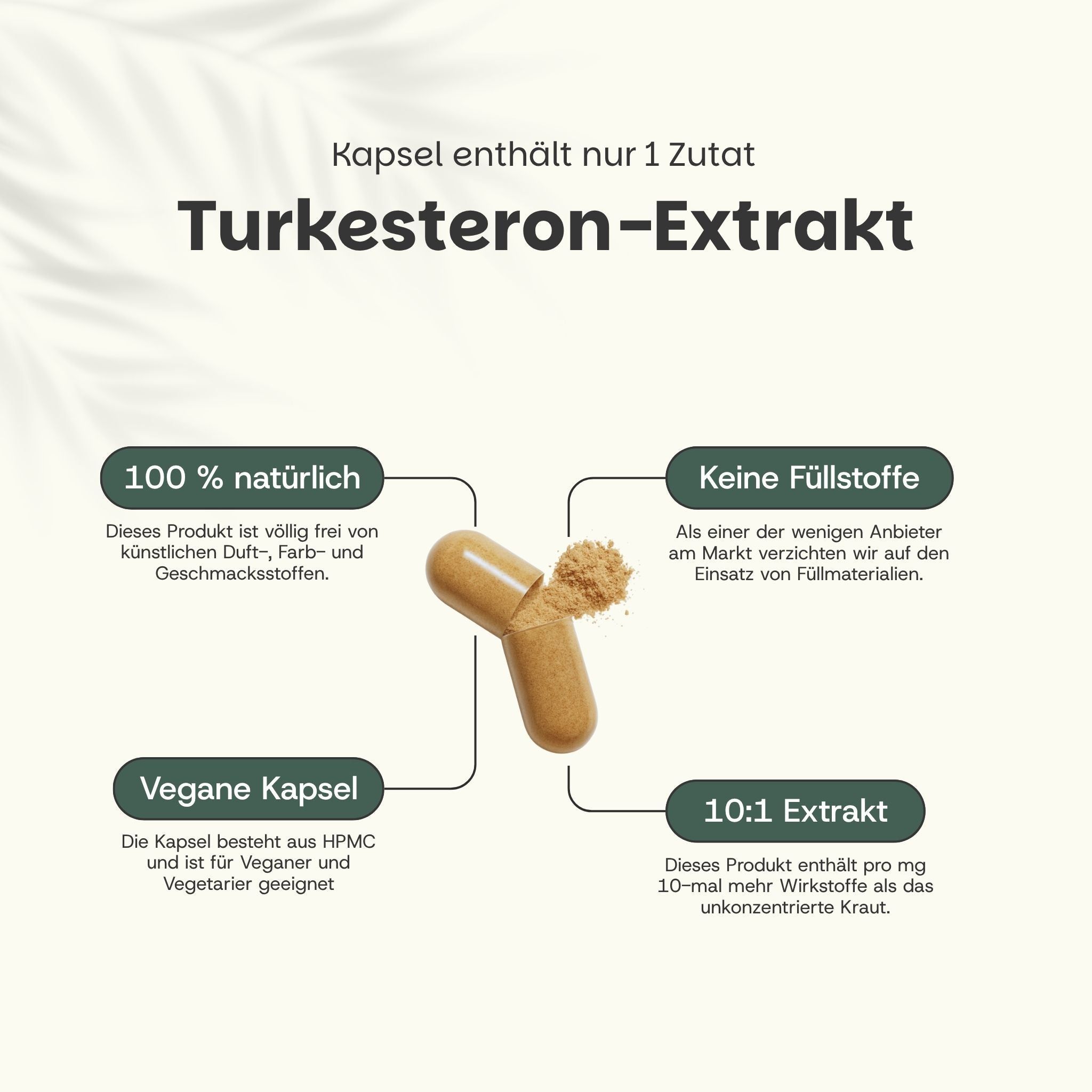 Beutel mit Kapseln und Kundenbewertungen. Text: Turkesterone 10:1 Extract Capsules. 60 Kapseln. 500 mg Extrakt pro Kapsel. 4.7/5 Sterne.