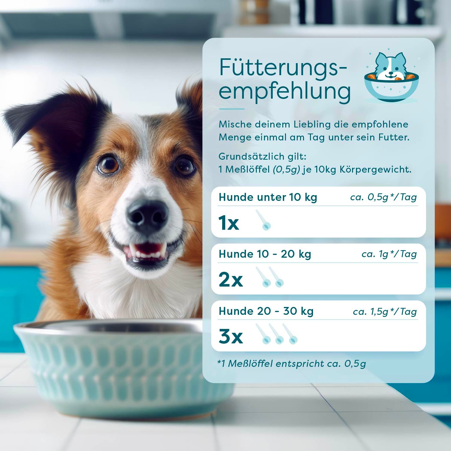 Dr. SAM WonderDog - hochdosiertes Gesundheitspulver für Hunde