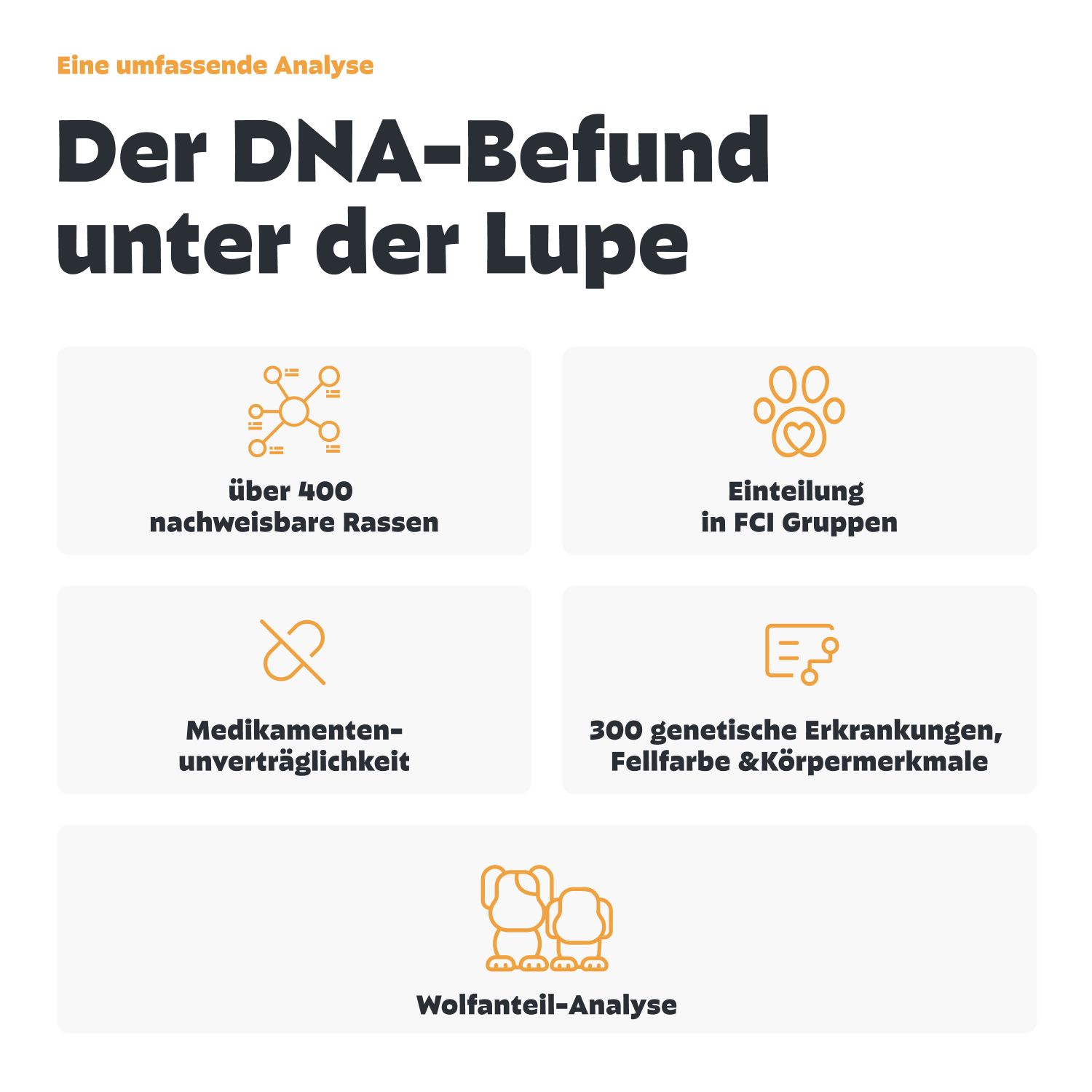 Infografik: DNA-Befund-Analyse. Über 400 Rassen, FCI-Gruppen, Medikamentenunverträglichkeit, 300 genetische Erkrankungen, Wolfsanteil-Analyse.