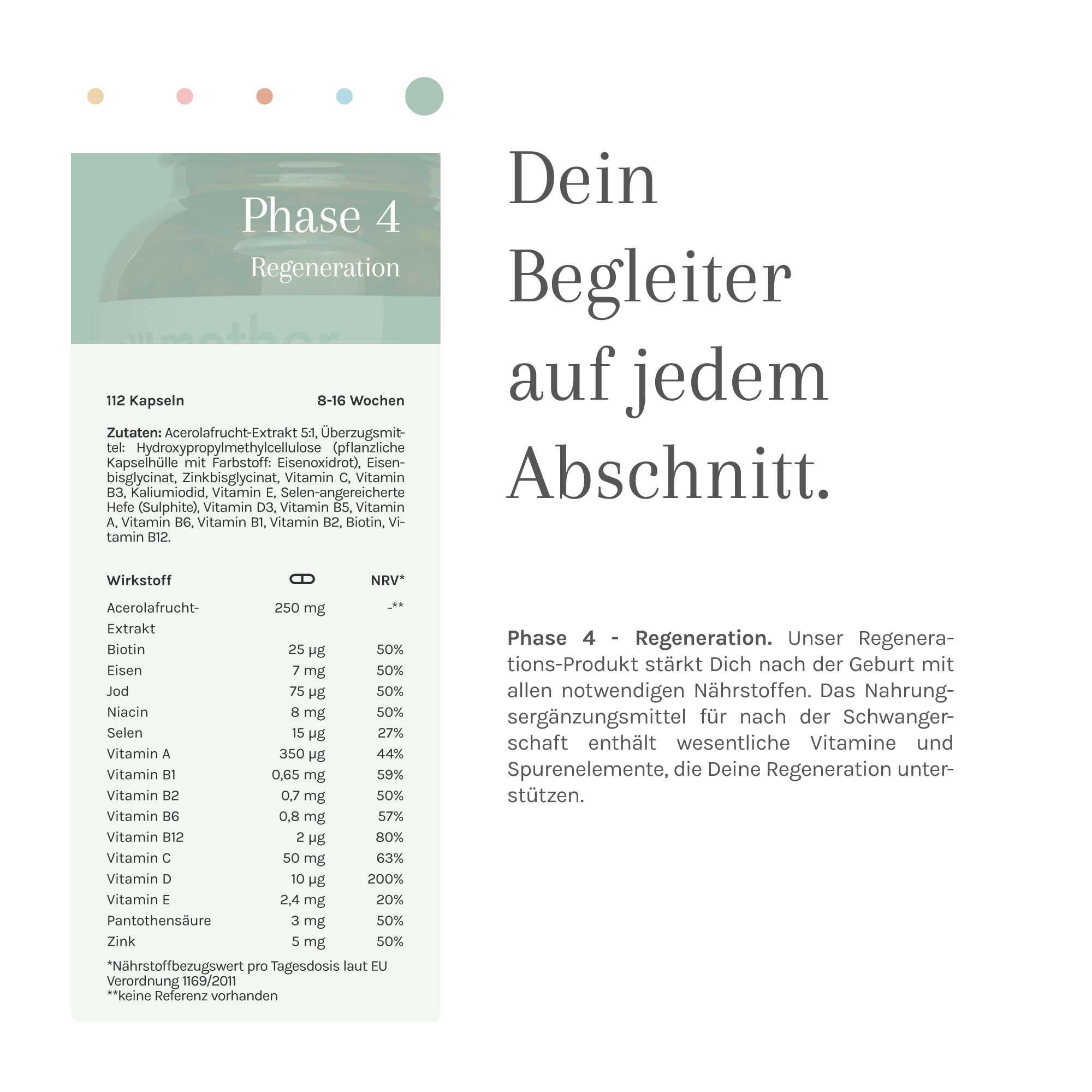 Text mit Inhaltsstoffen und Nährwertangaben für Phase 4 Regeneration. Enthält u.a. Eisen, Vitamin B12, Zink.