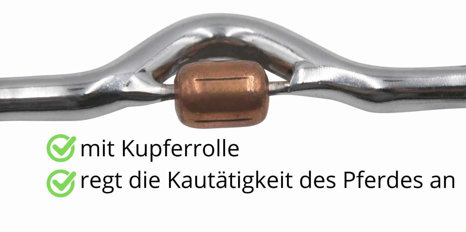 Nahaufnahme eines Gebisses mit Kupferrolle. Text: mit Kupferrolle, regt die Kautätigkeit des Pferdes an.