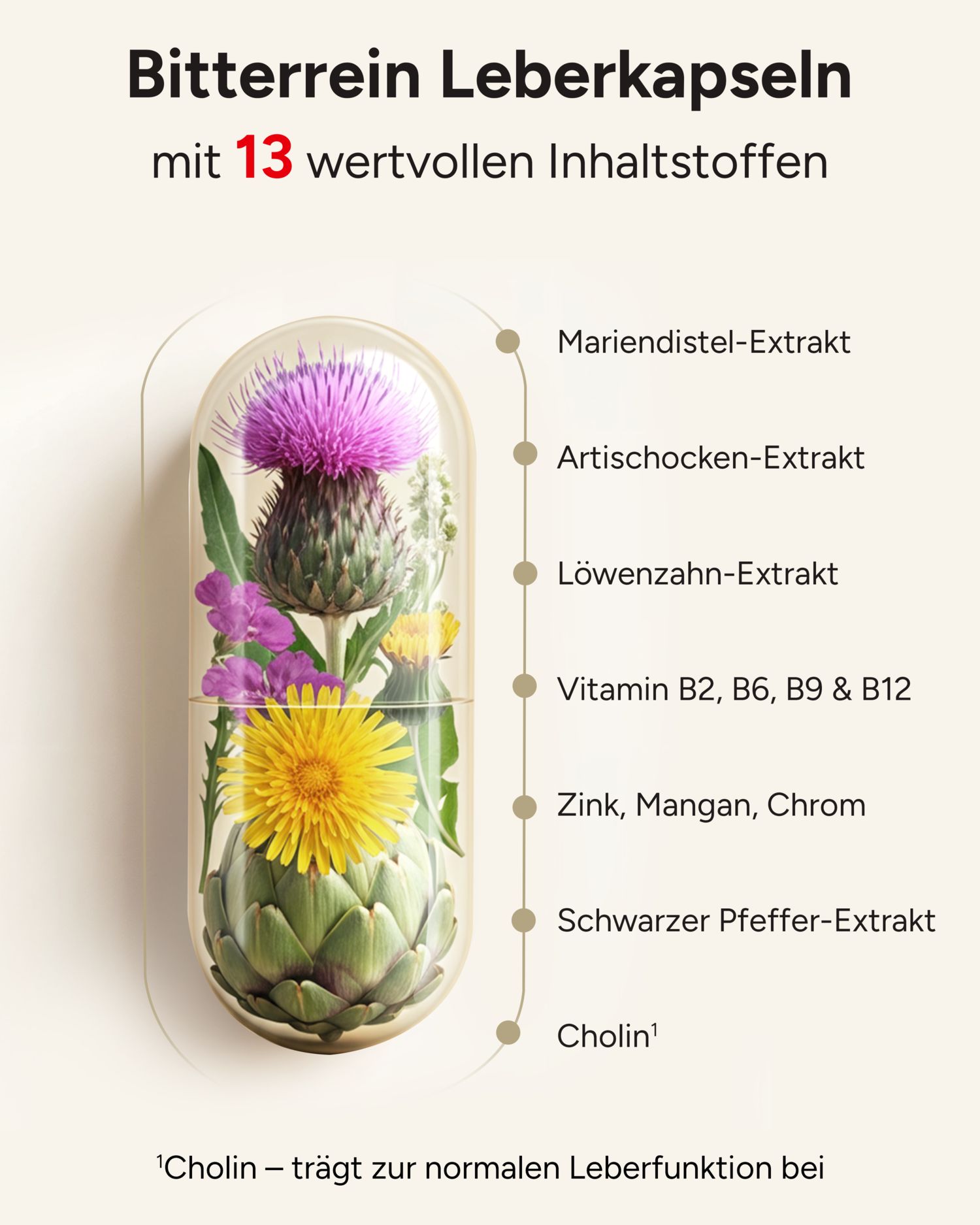 Kapsel mit Inhaltsstoffen von plantomol® Bitterrein Leberkapseln: Mariendistel, Artischocke, Löwenzahn, Vitamine, Zink, Pfeffer, Cholin.
