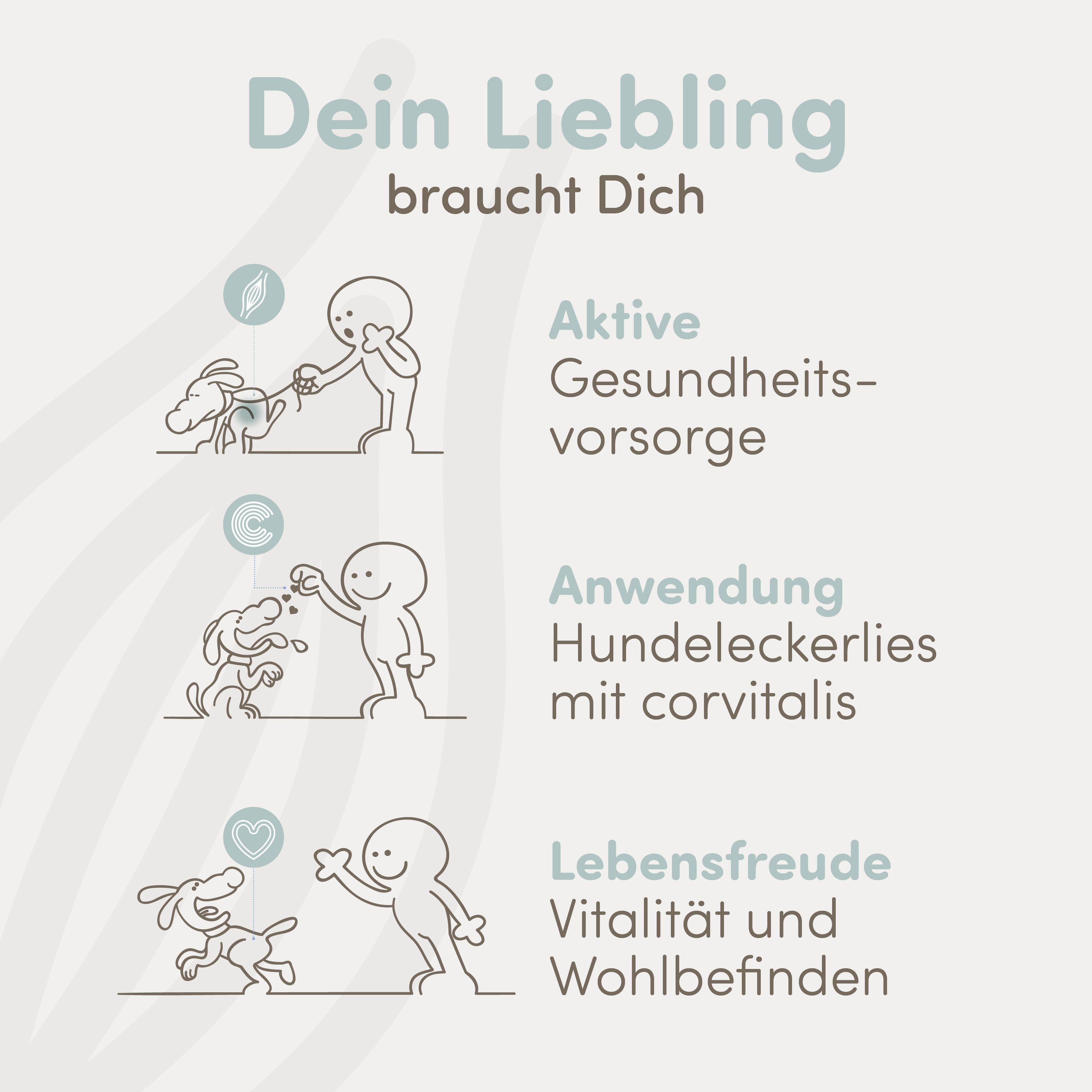 Drei Illustrationen: Aktive Gesundheitsvorsorge, Anwendung Hundeleckerlies, Lebensfreude.