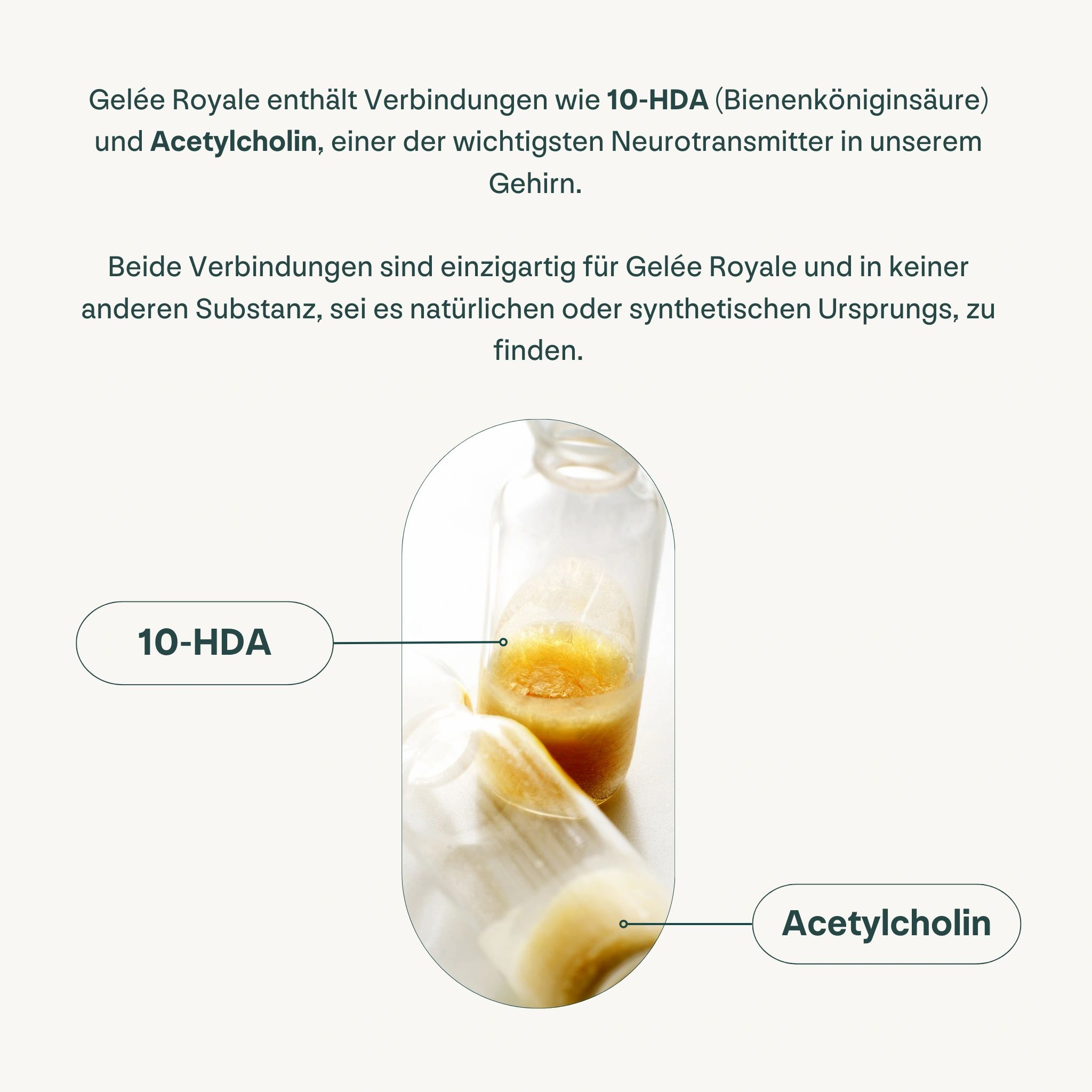 Zwei Fläschchen mit Flüssigkeit. Text: 10-HDA und Acetylcholin. Gelee Royale Inhaltsstoffe.
