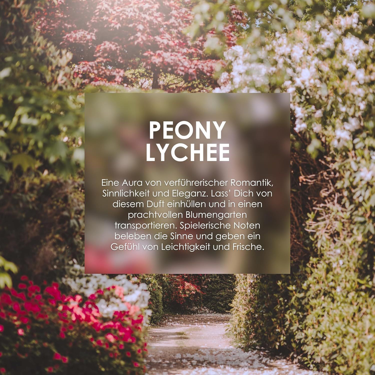 Text auf verschwommenem Hintergrund: Peony Lychee. Beschreibung des Duftes.