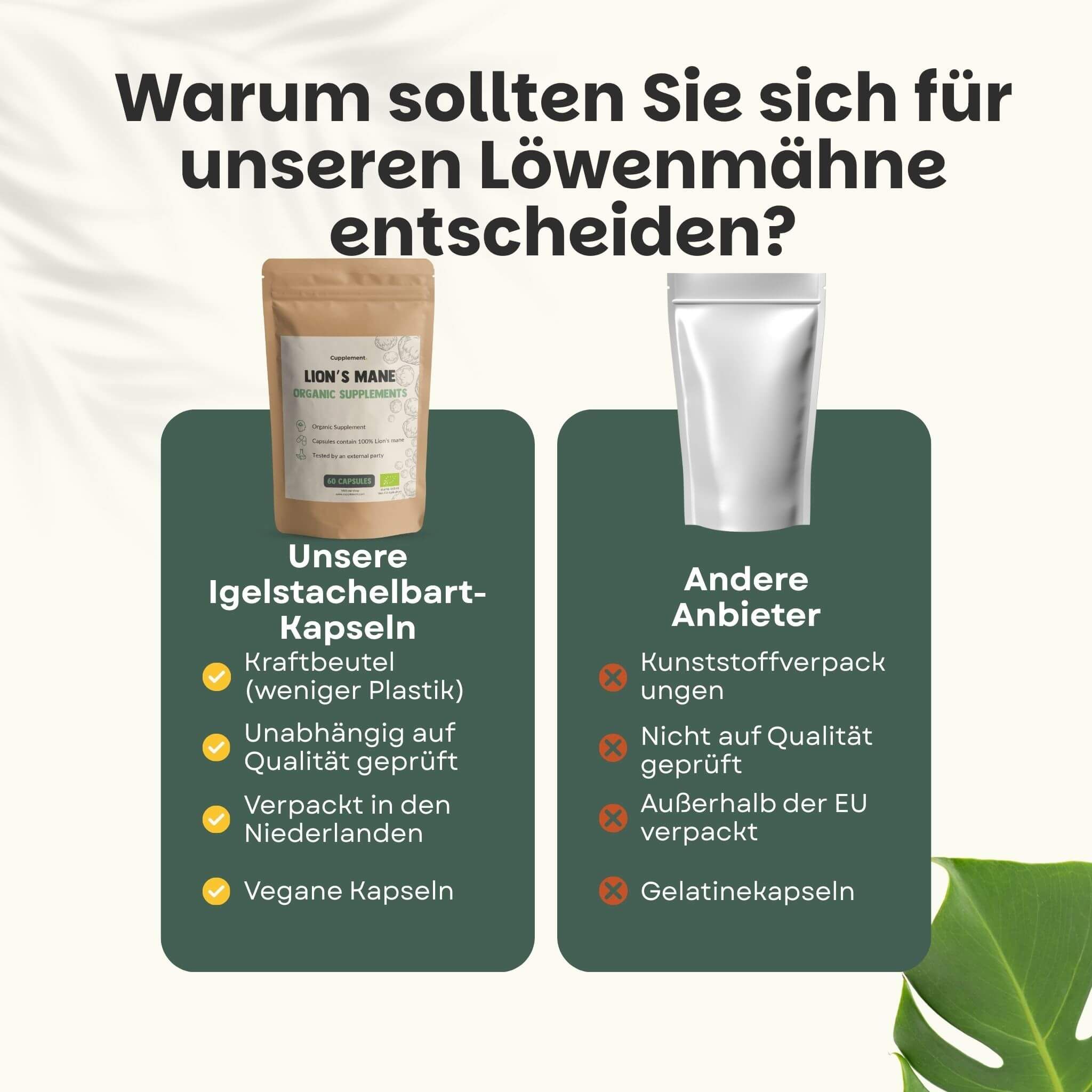 Vergleich von Löwenmähne-Kapseln mit anderen Anbietern. Kraftbeutel, vegane Kapseln, vs. Plastikverpackung, Gelatinekapseln.