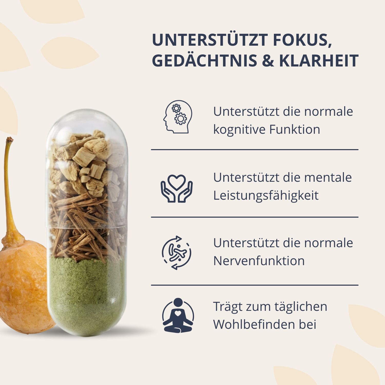 Geöffnete Kapsel mit natürlichen Inhaltsstoffen. Unterstützt Fokus, Gedächtnis und Klarheit.