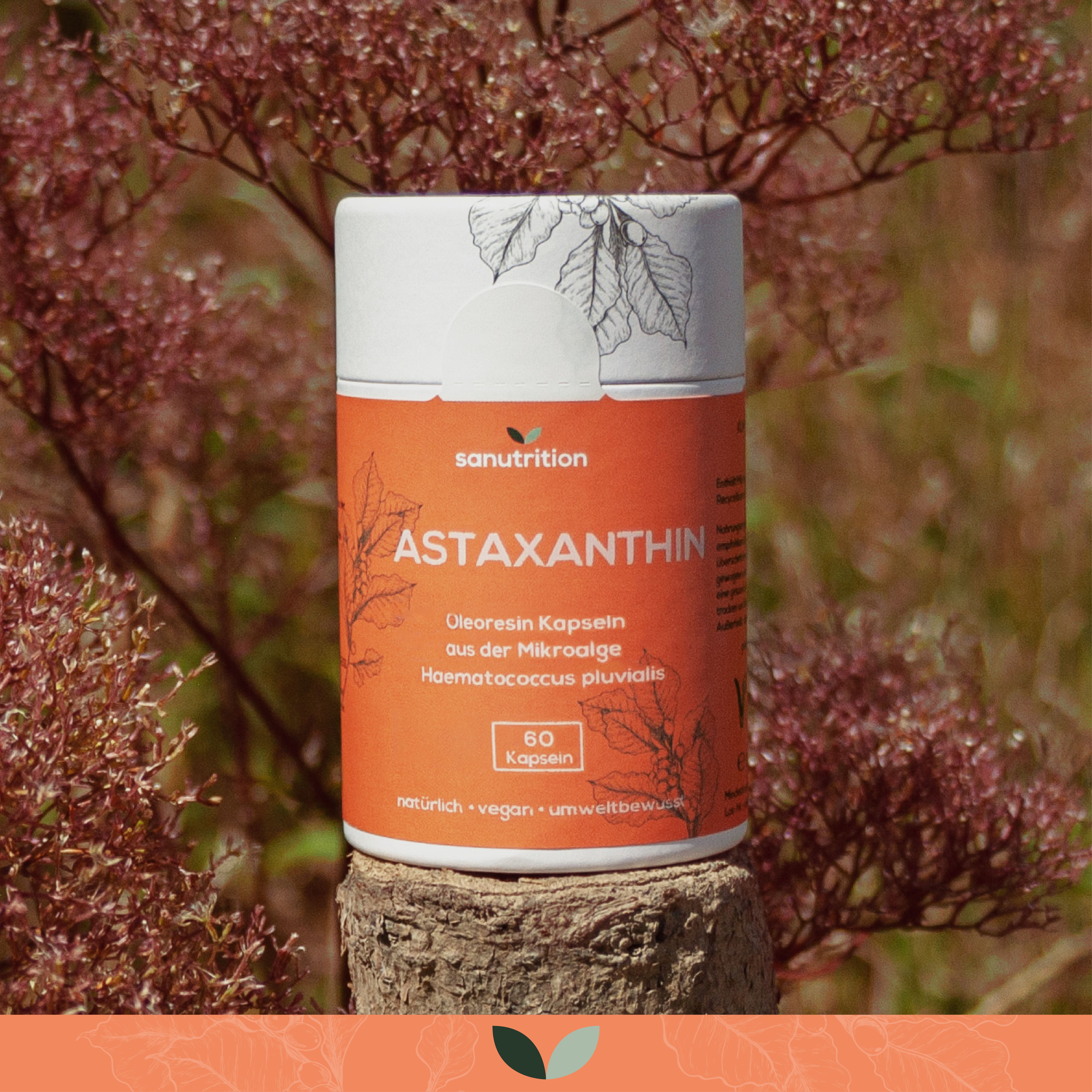 Astaxanthin-Kapseln in zylindrischer Dose. Aufkleber mit Produktinformationen. 60 Kapseln. Dose steht auf Holzstumpf.