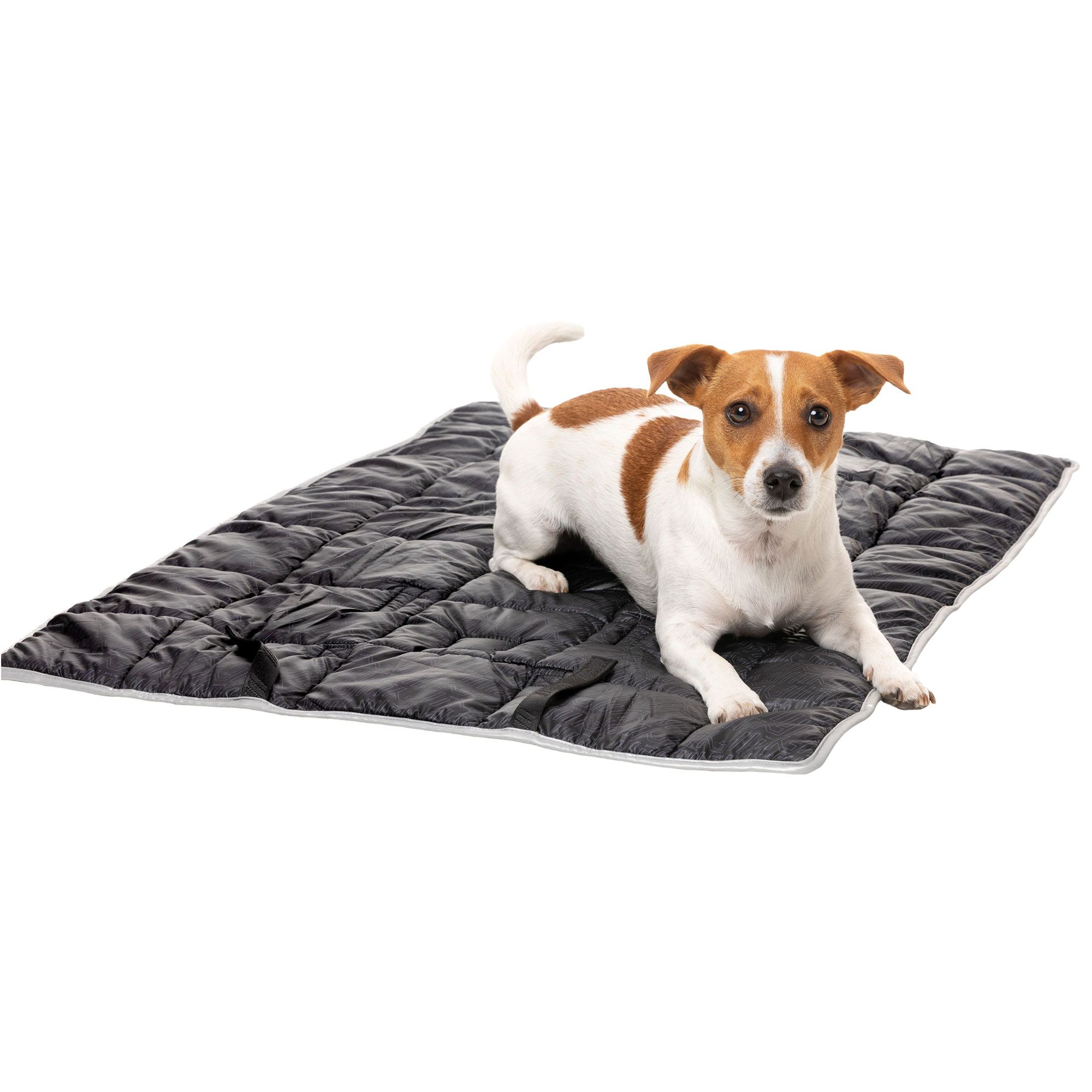 FuzzYard Active Roll-Up Hunde Reisematte