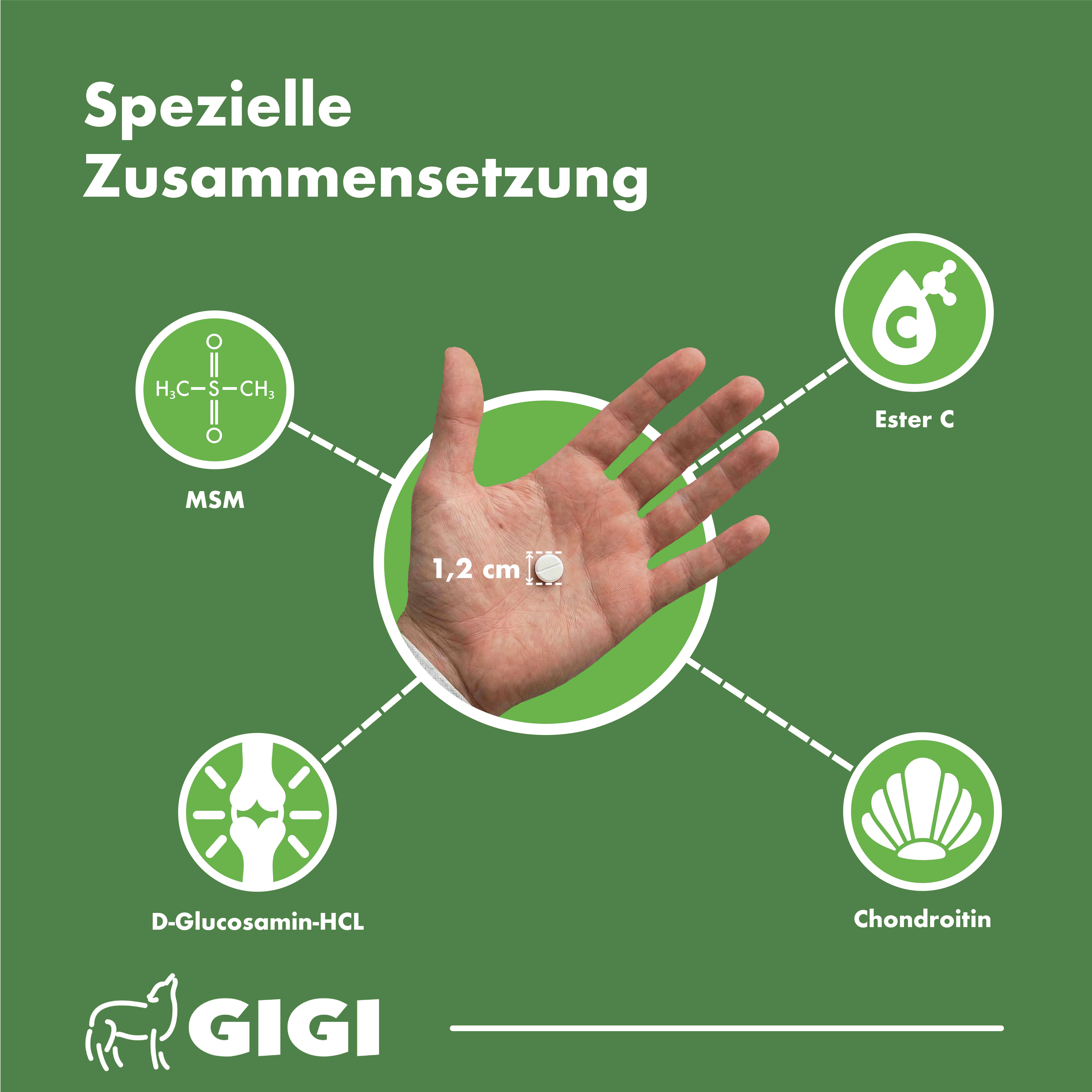 Hand mit Tablette, umgeben von Inhaltsstoffen: MSM, Ester C, Chondroitin, D-Glucosamin-HCL. Text: Spezielle Zusammensetzung. Tablette: 1,2 cm.