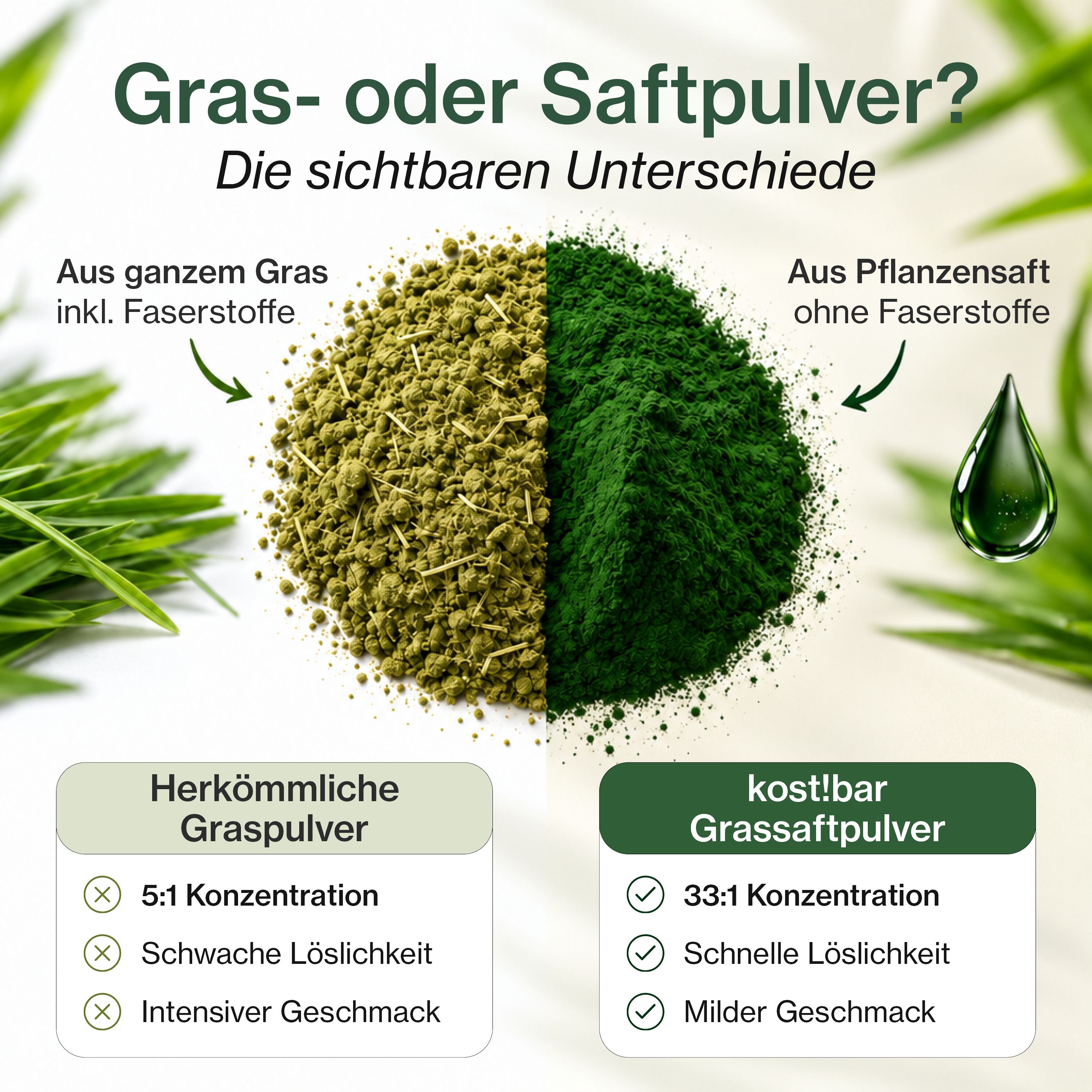 Vergleich von herkömmlichem Gras- und kost!bar Grassaftpuler: Konzentration, Löslichkeit, Geschmack.