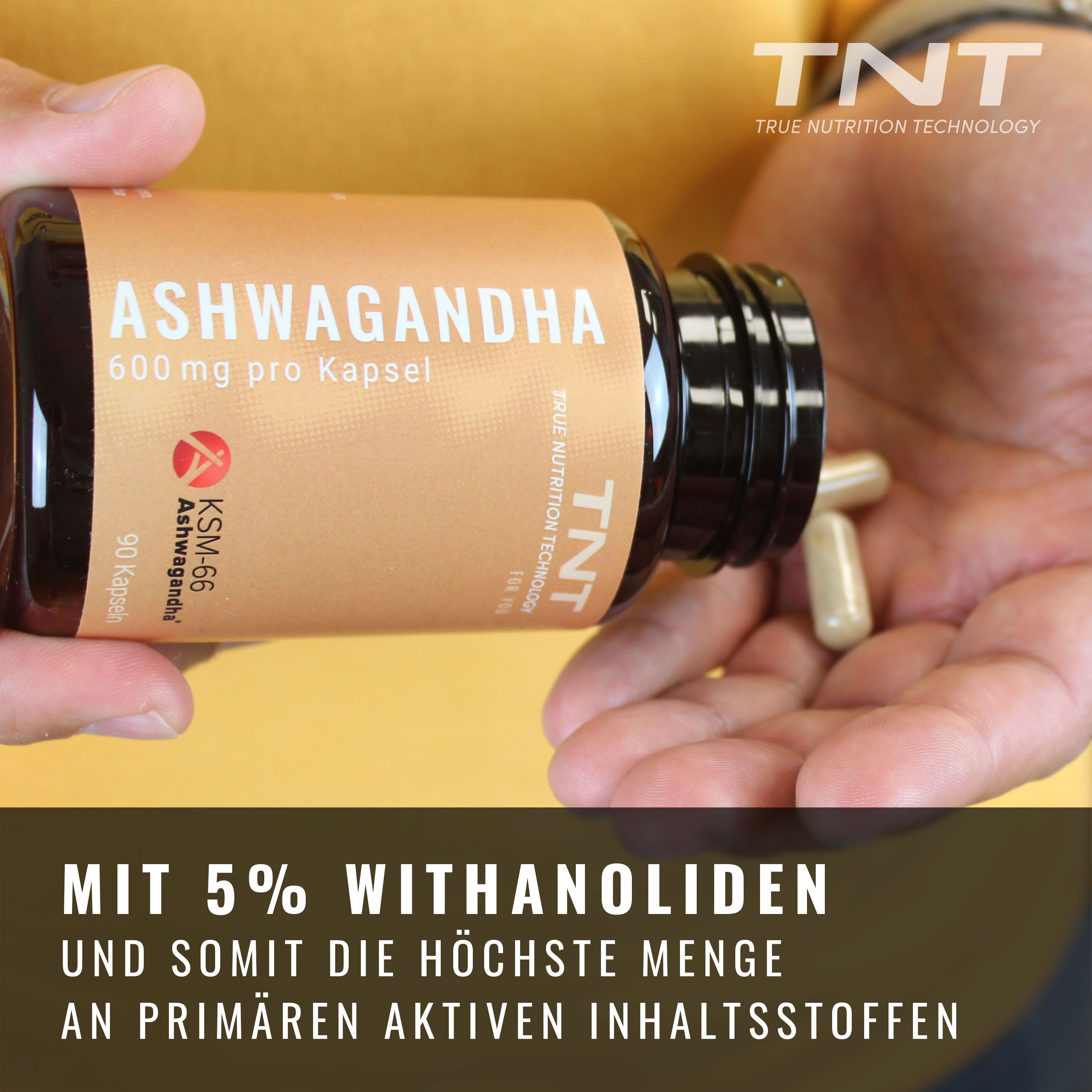 Hand hält Kapseln. Aufschrift: Ashwagandha, 600mg pro Kapsel, KSM-66. Marke: TNT. Text: 5% Withanolide.