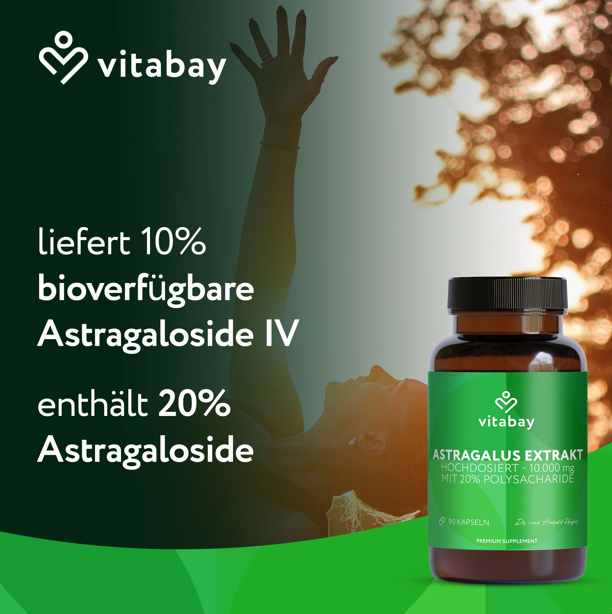 Vitabay Astragalus Extrakt Flasche, liefert 10% bioverfügbare Astragaloside IV.