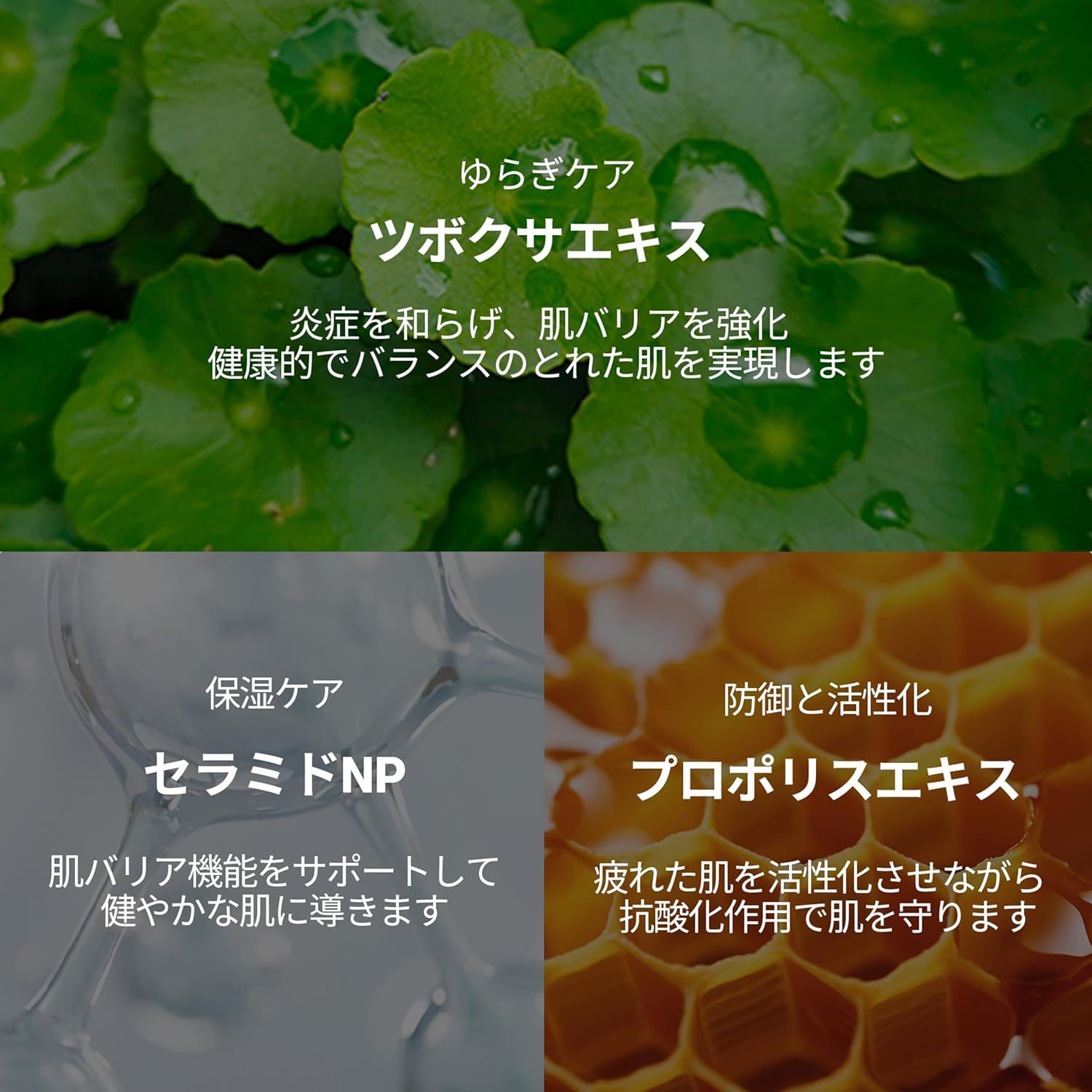 Grafik mit Inhaltsstoffen. Text: Centella Asiatica, Ceramide NP, Propolis-Extrakt. Hintergrund: grüne Blätter, Waben.