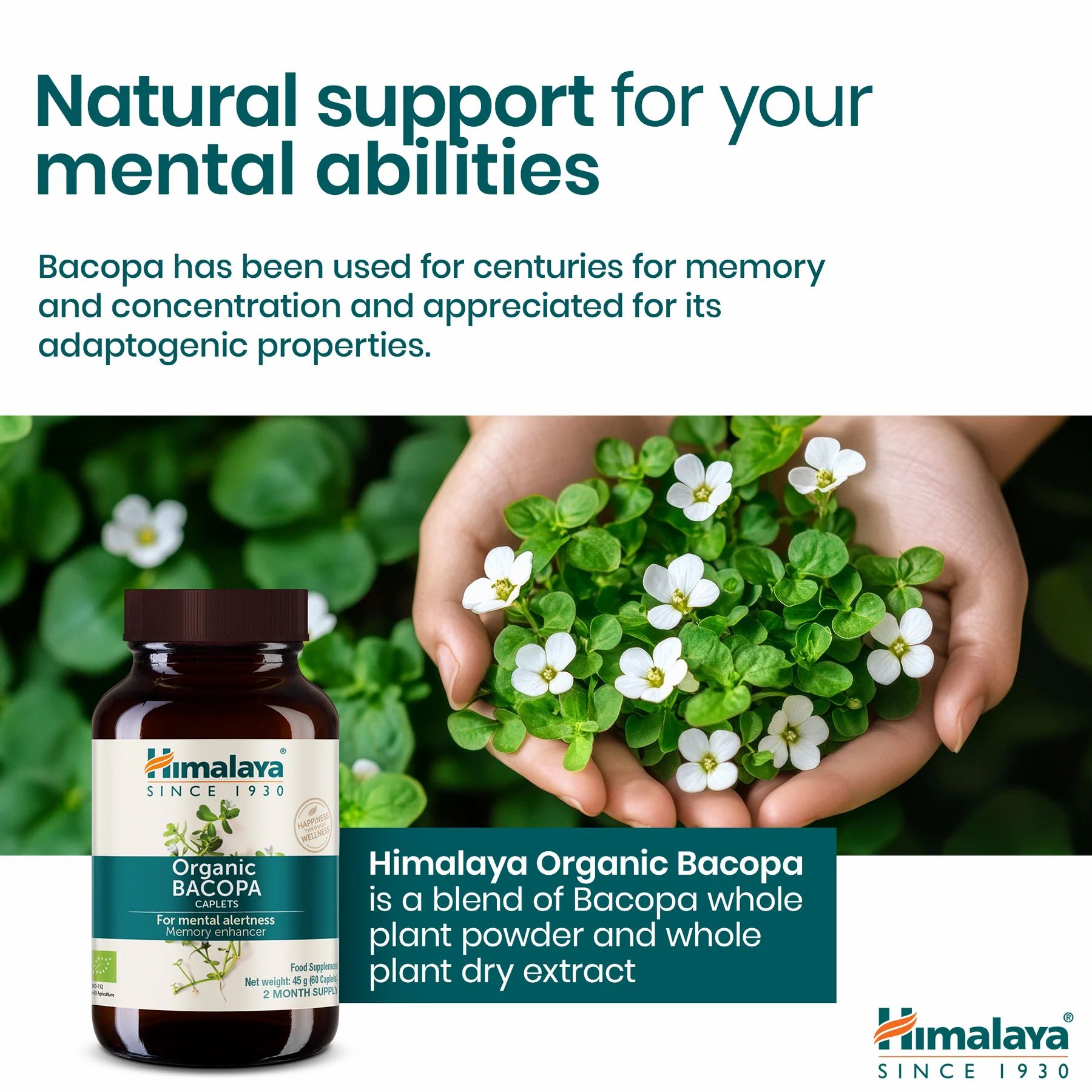 Himalaya Bio-Bacopa-Flasche neben Pflanzen mit weißen Blüten. Text: Himalaya Organic Bacopa. Produktbeschreibung.