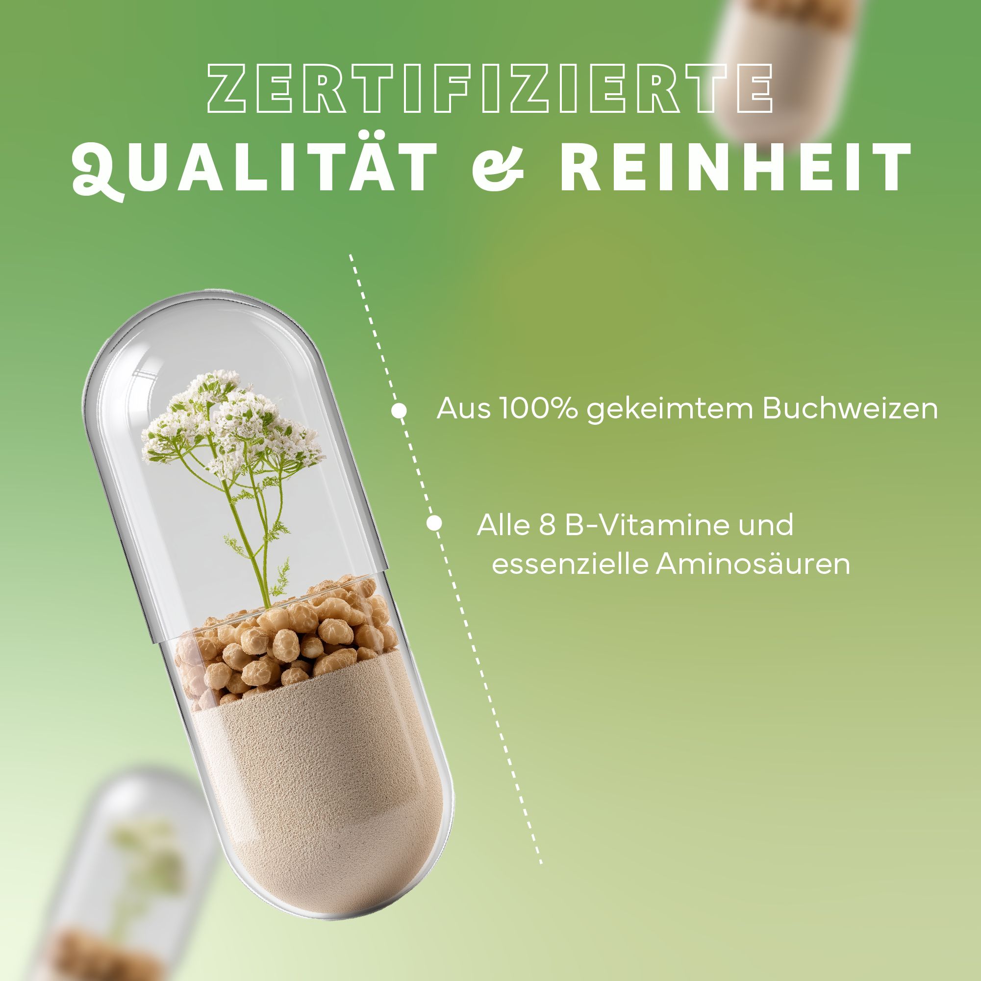 Kapsel mit Inhalt. Text: Zertifizierte Qualität & Reinheit. Aus 100% gekeimtem Buchweizen. Alle 8 B-Vitamine und essenzielle Aminosäuren.