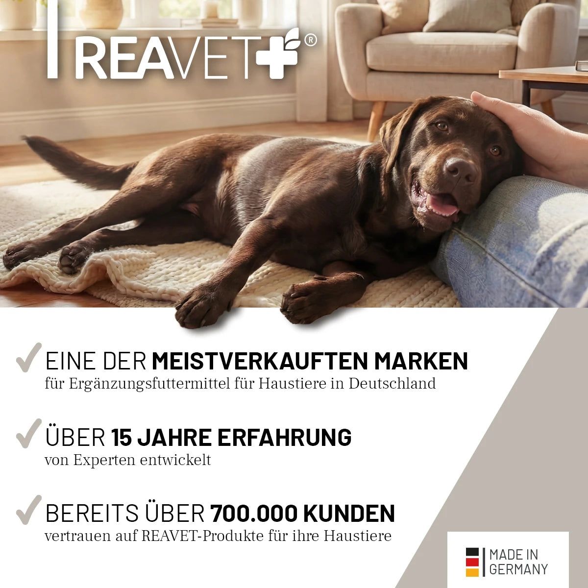 Brauner Hund liegt. Text: ReaVET. Text: Eine der meistverkauften Marken, über 15 Jahre Erfahrung, über 700.000 Kunden. Made in Germany.