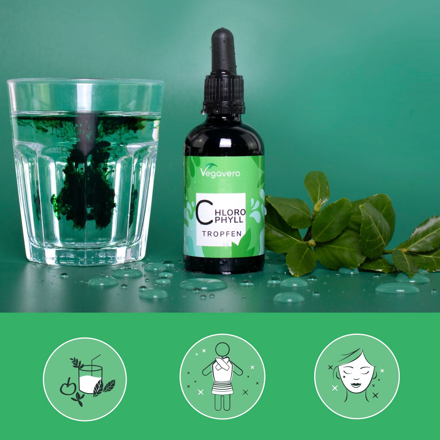Glas mit grünem Wasser, Flasche mit Tropfen und Blätter. Auf der Flasche steht Chlorophyll Tropfen. Im Hintergrund grüne Oberfläche.
