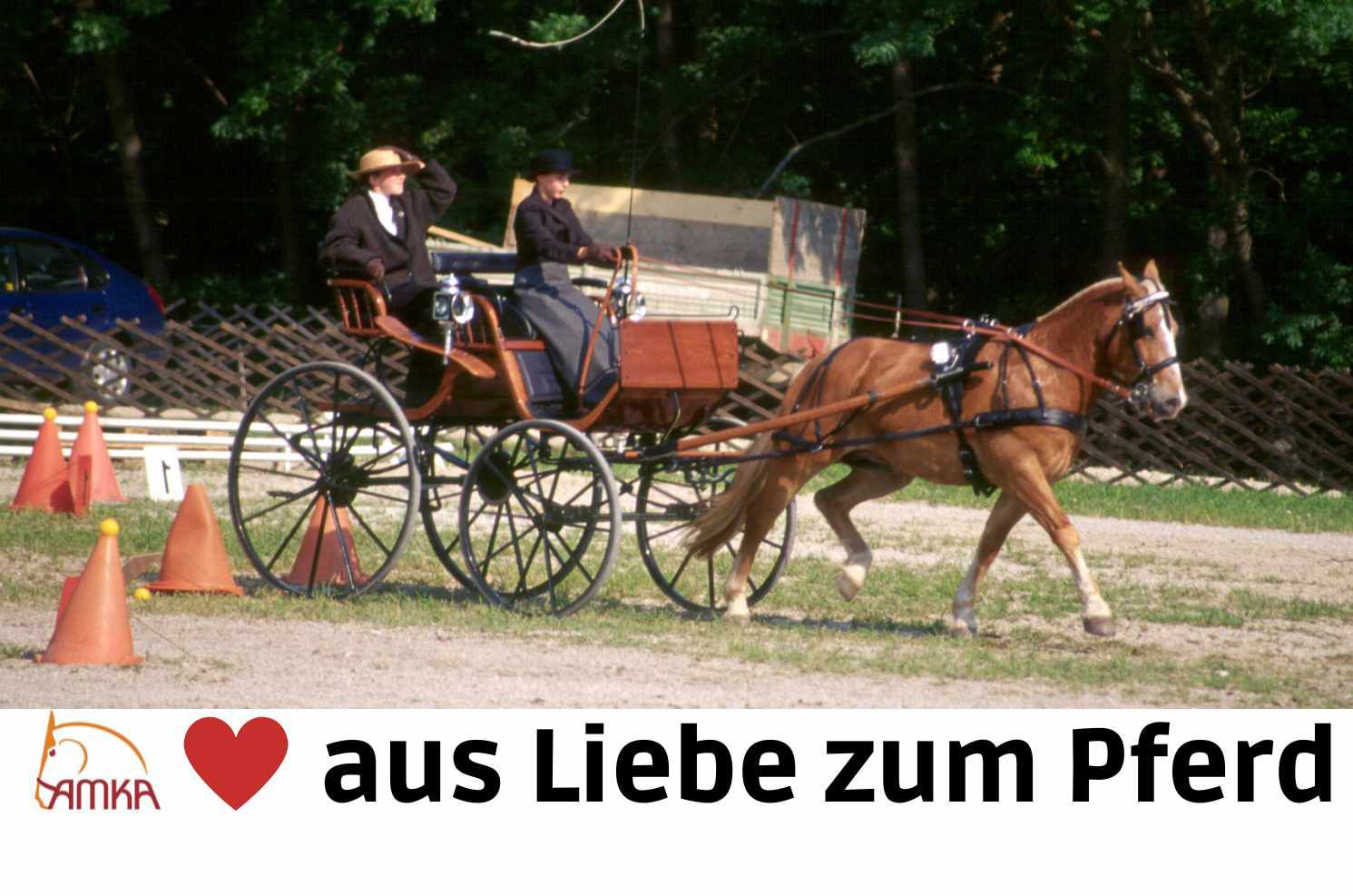 Zwei Personen in einer Kutsche, gezogen von einem Pferd. Text: AMKA, aus Liebe zum Pferd.