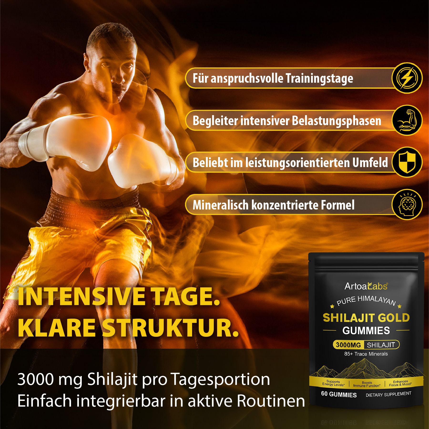 Sportler mit Boxhandschuhen. Schwarze Verpackung mit Produktinformationen. Text: ArtoaLabs, Shilajit Gold Gummies, 3000mg Shilajit, 60 Gummies.