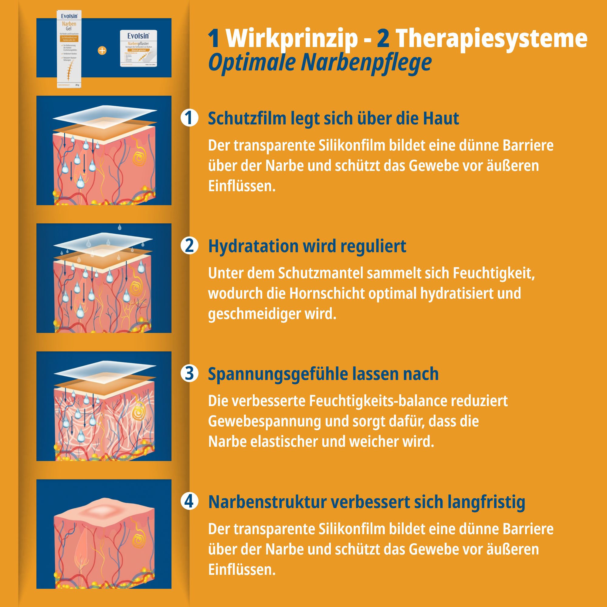 Evolsin® Narben Intensiv-Kur: Narbengel + Narbenpflaster - Reduziert die Sichtbarkeit von Narben