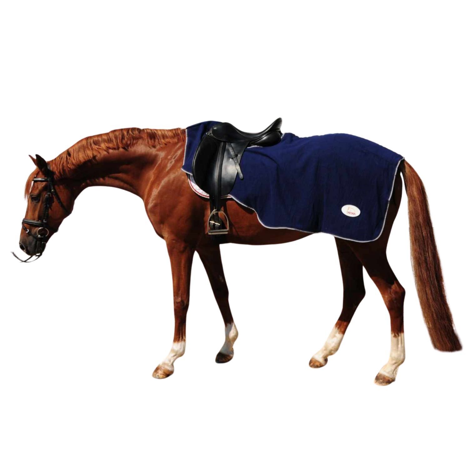 Braunes Pferd mit Sattel und blauer Decke. Decke mit weißem Rand und Logo.