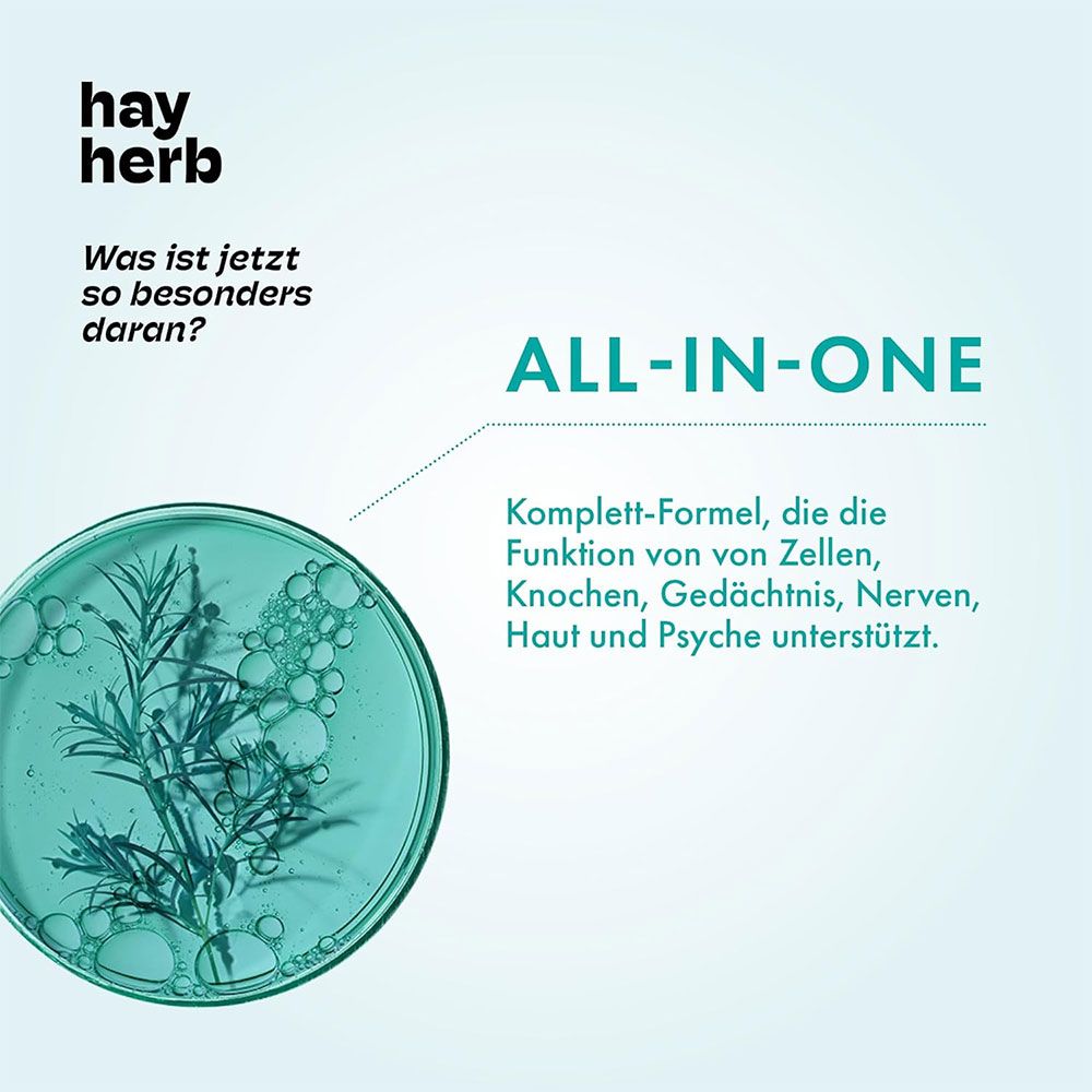 hay herb All-in-one Longevity Komplex