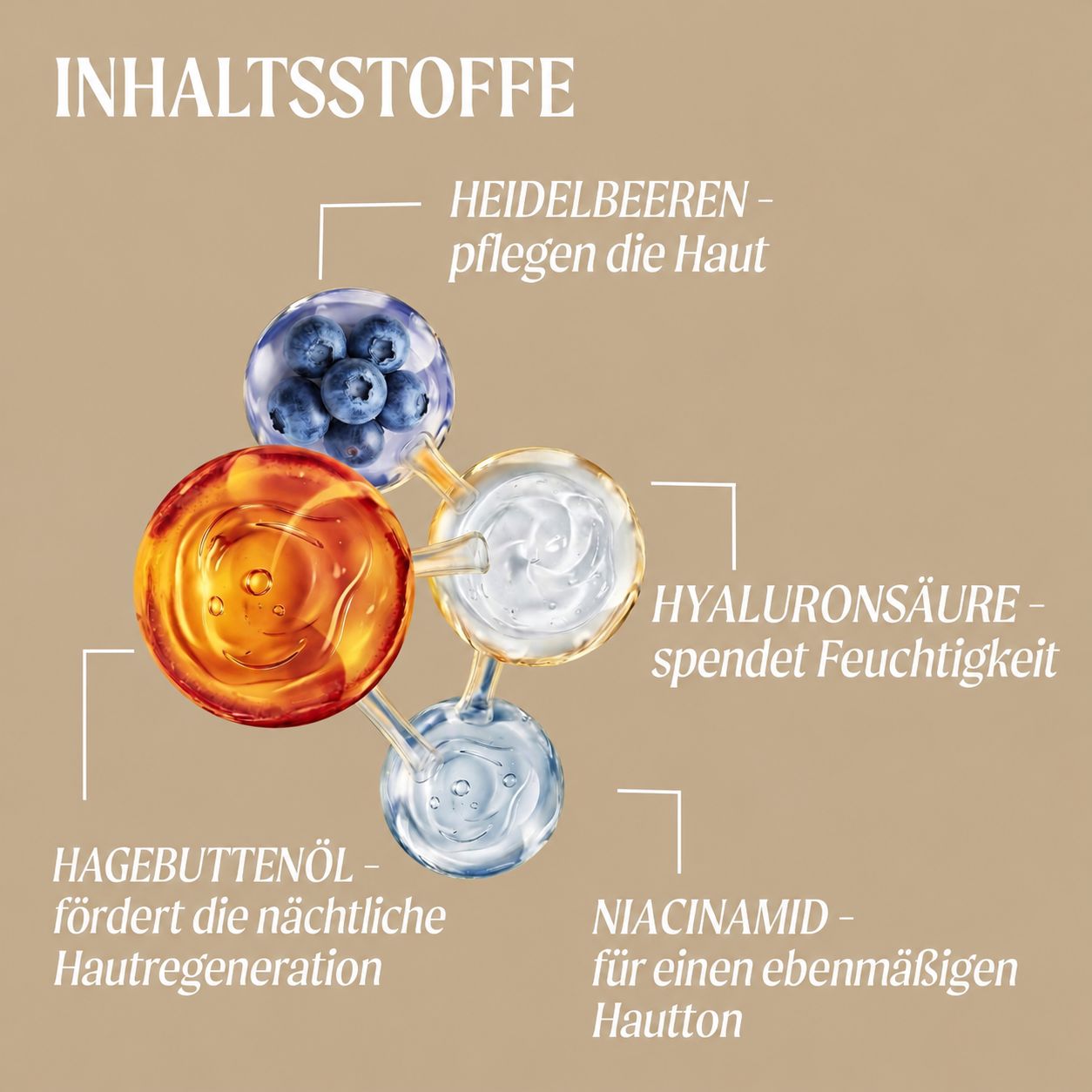Grafische Darstellung von Inhaltsstoffen: Blaubeeren, Hyaluronsäure, Hagebuttenöl, Niacinamid.